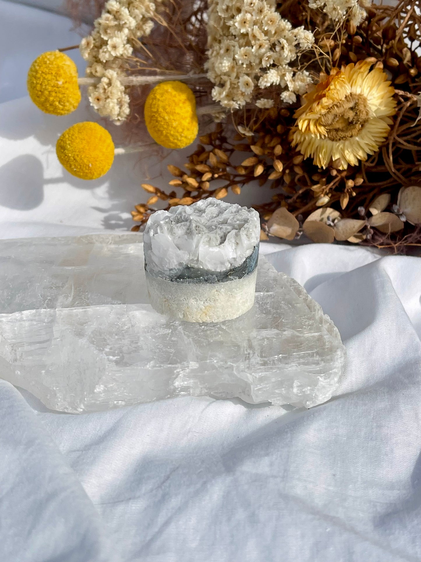 Angel Wing Calcite Critter #1