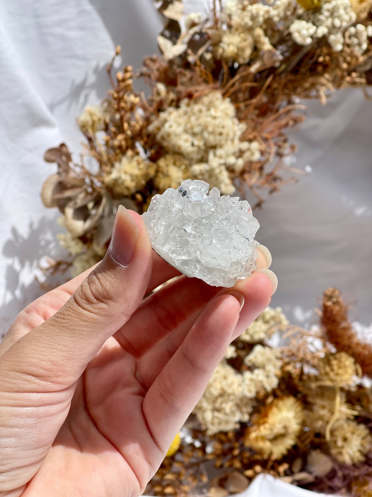 Apophyllite Specimen #4