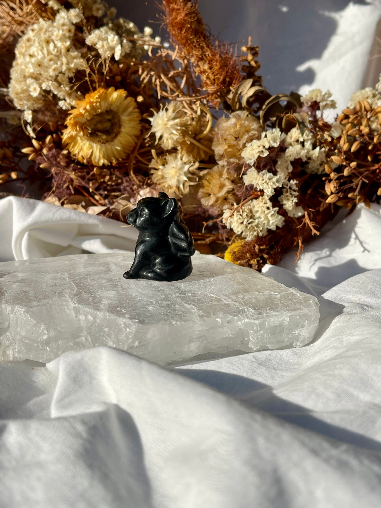 Black Obsidian Angel French Bulldog