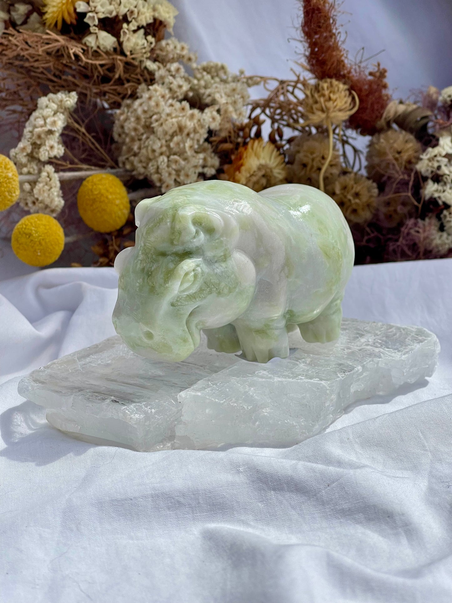 Lemon Jade Hippo
