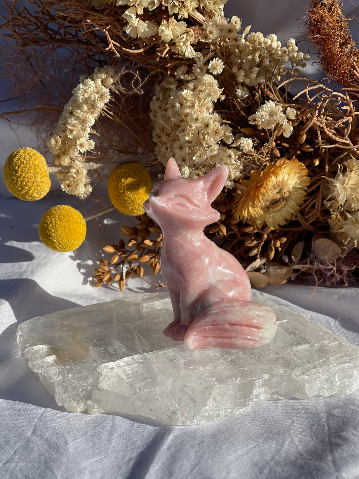 Pink Opal Fox