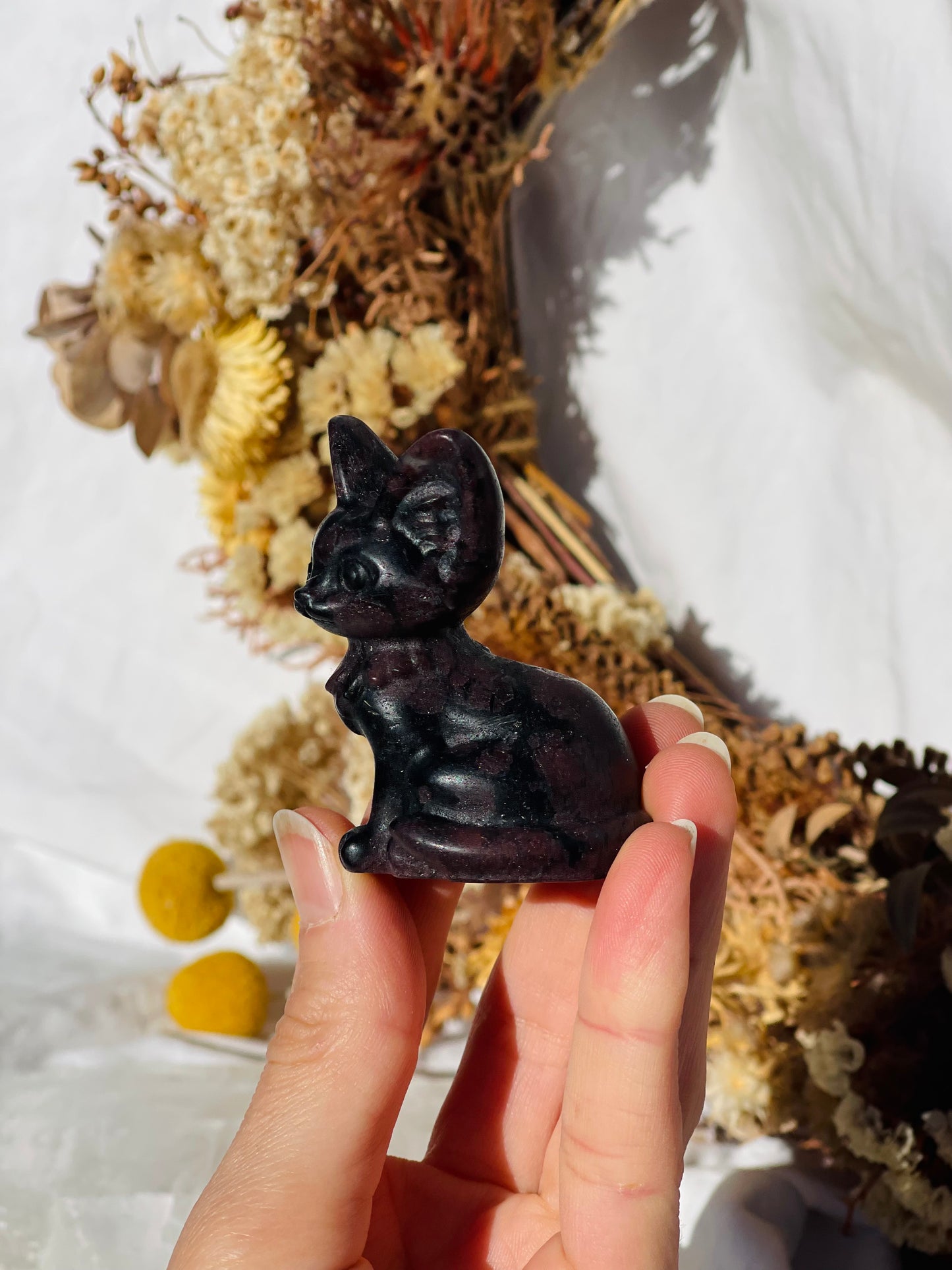 Garnet Astrophyllite Cat