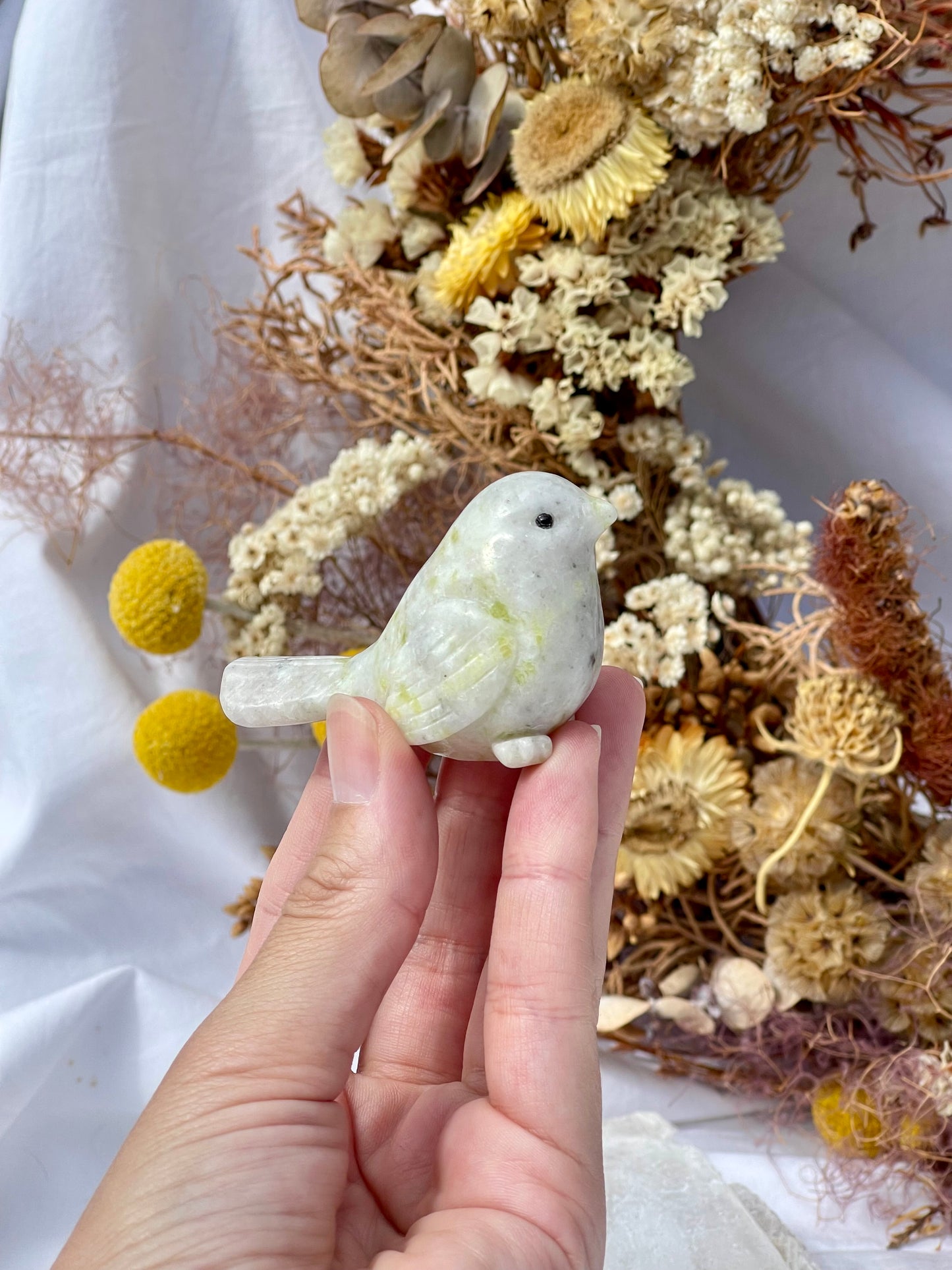 Lemon jade bird 5