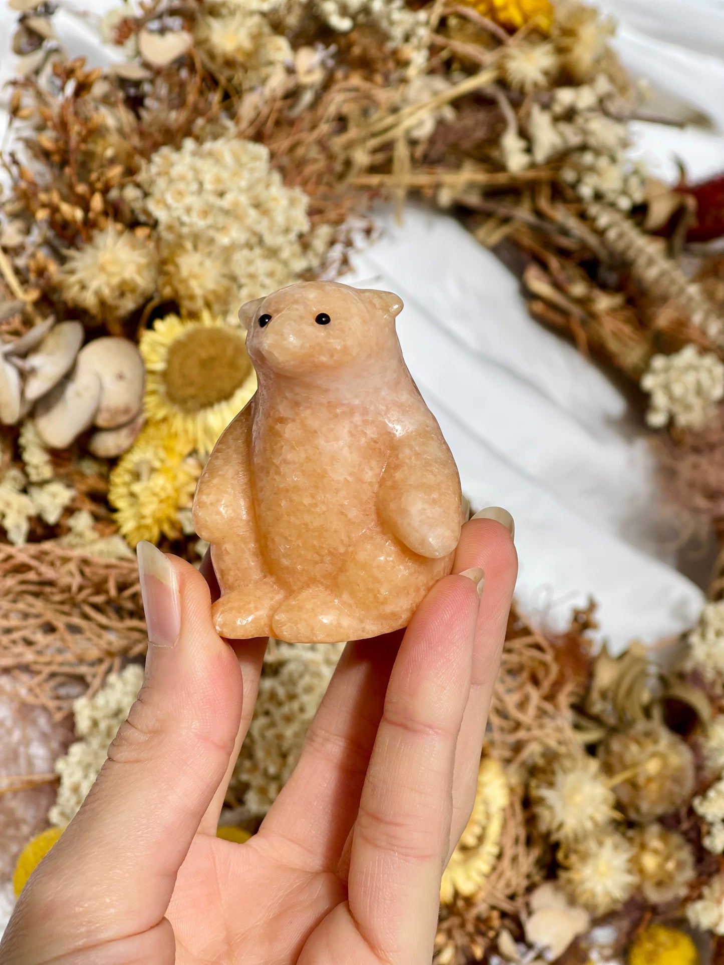 Sunstone Bear