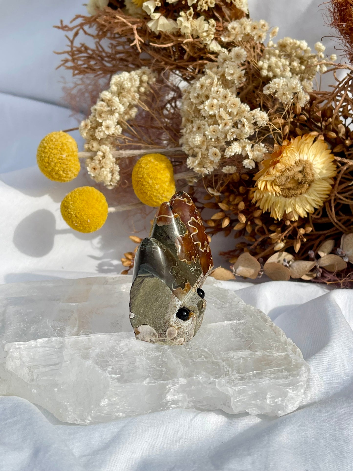 Ammonite Critter #2