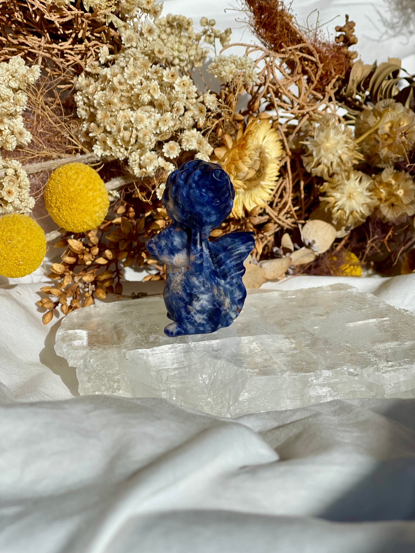 Sodalite Squirrel