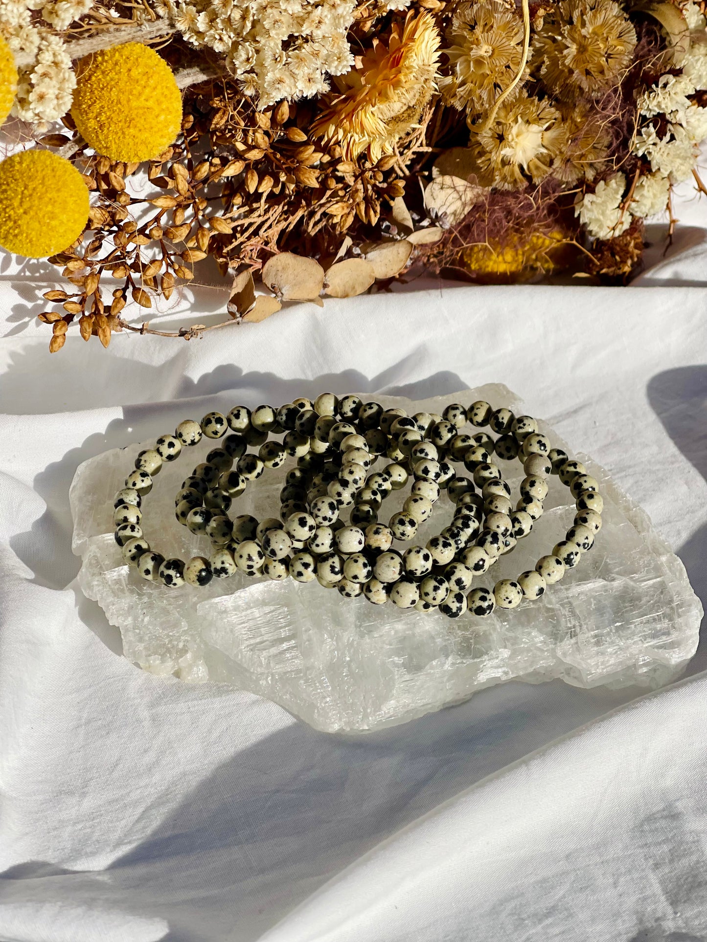 Dalmatian Jasper Bracelet | 6mm