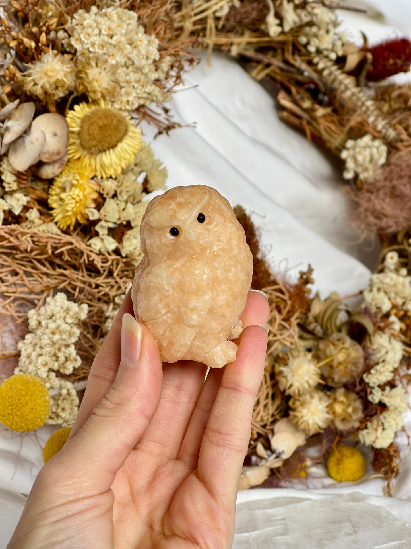 Sunstone Owl