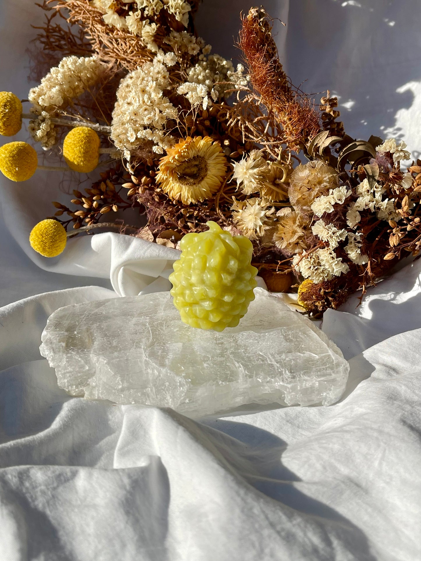 Lemon Jade Hedgehog
