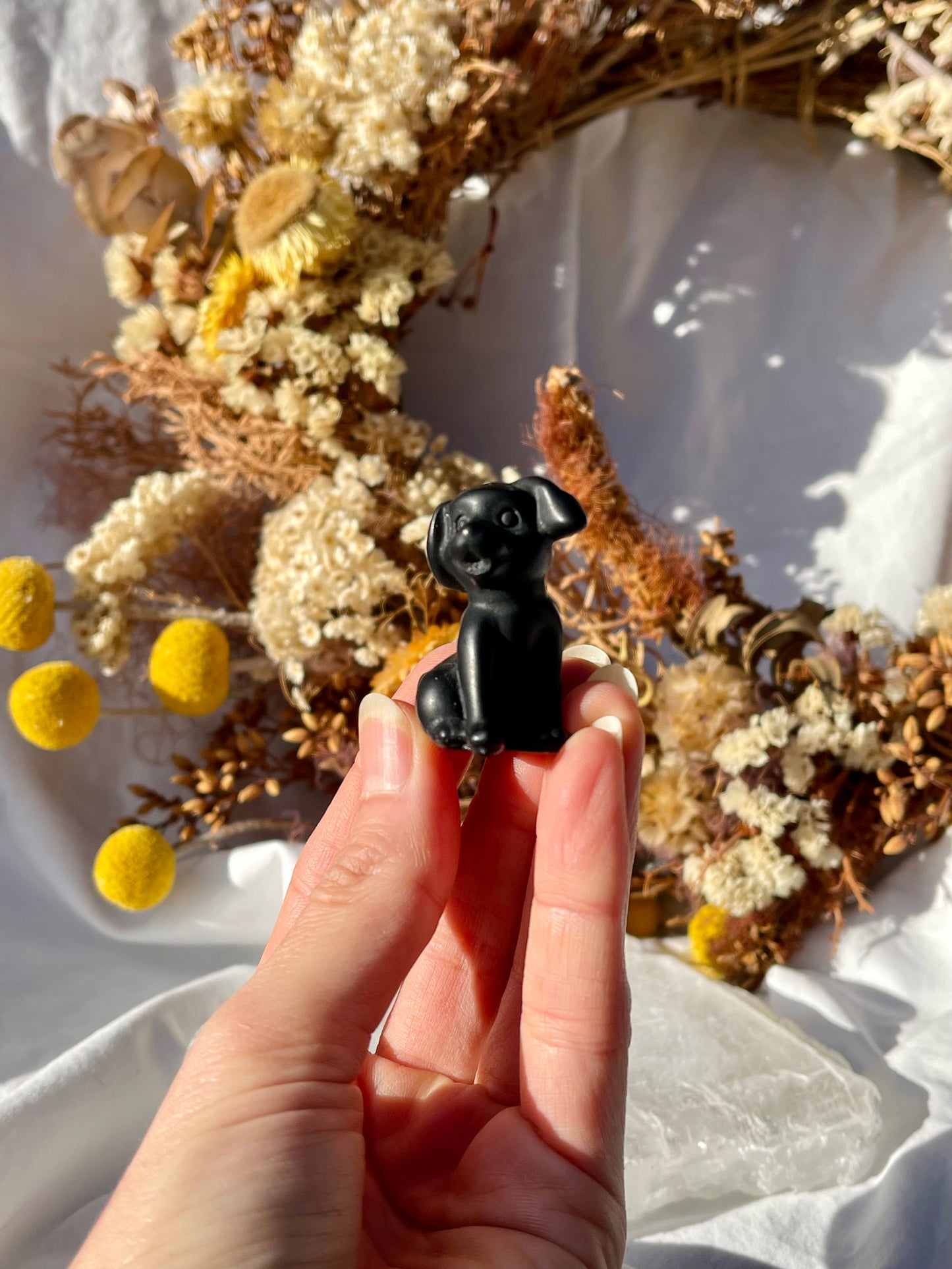 Black Obsidian Dog