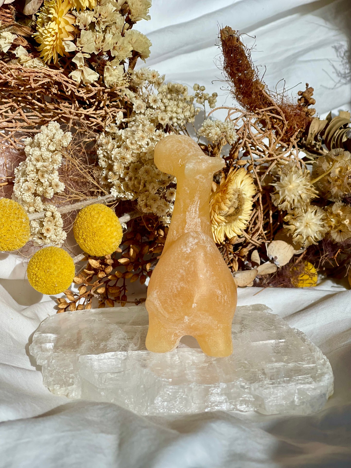 Orange Calcite Camel
