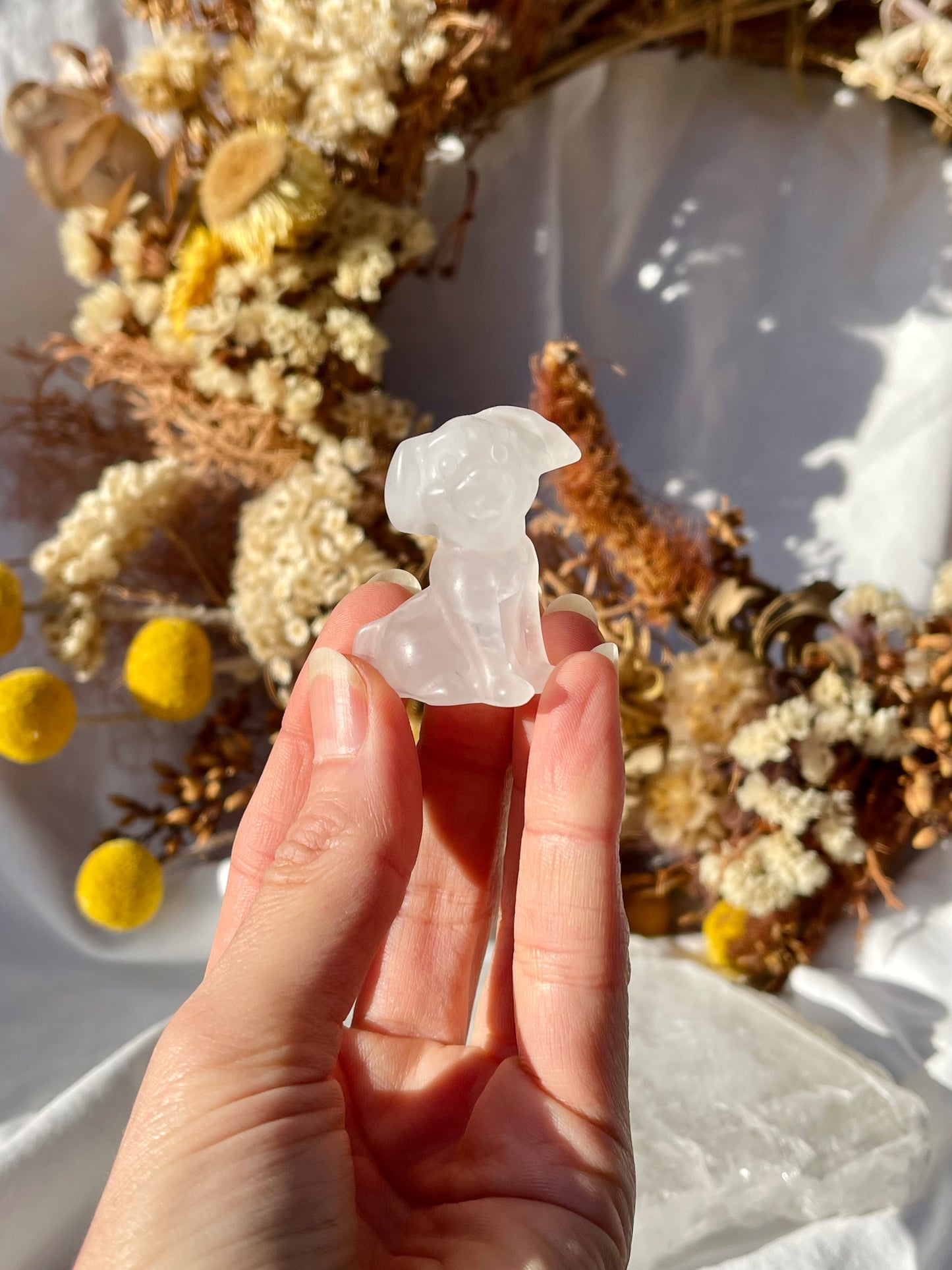 Quartz Dog