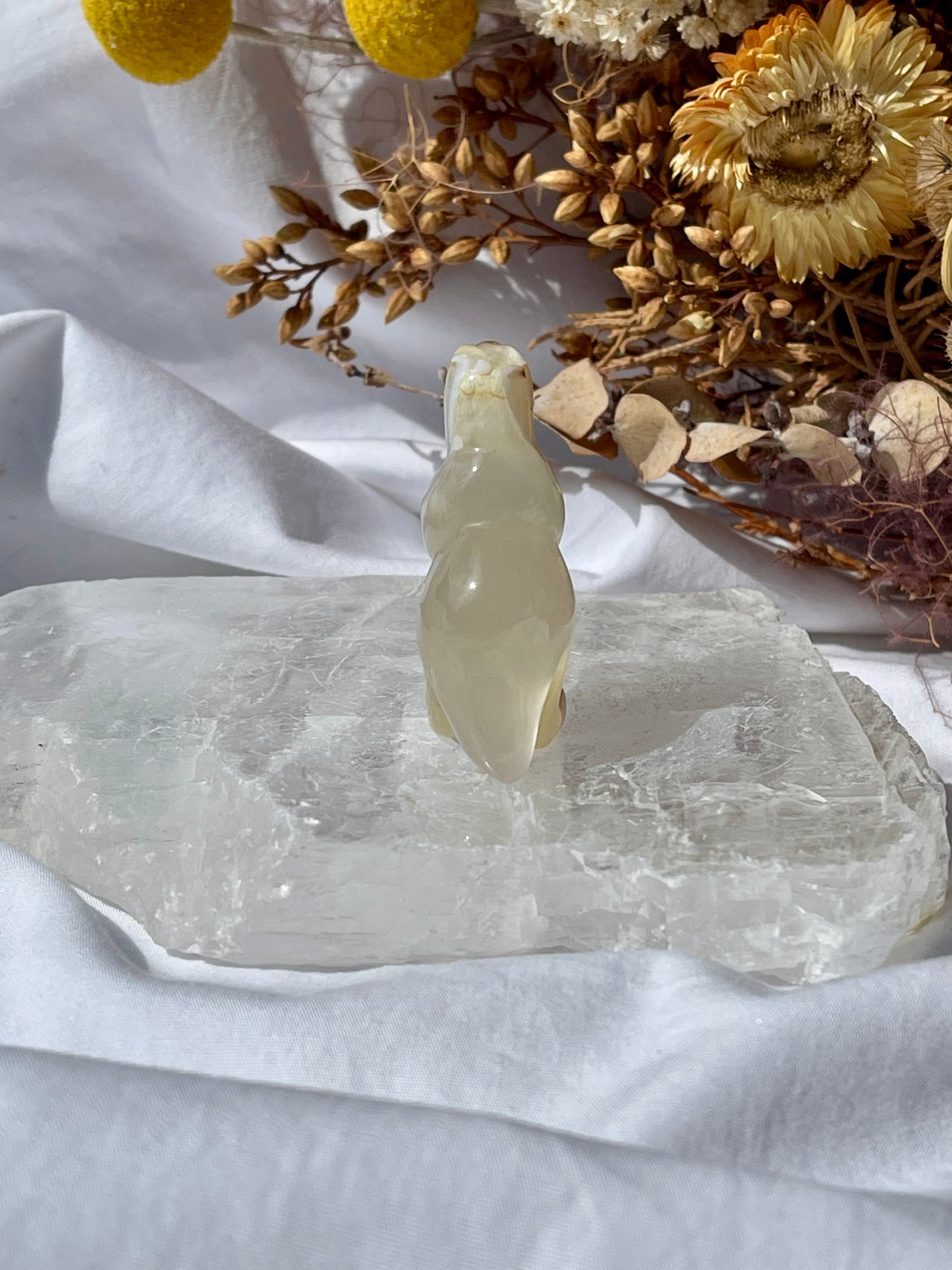 Agate T-Rex #1