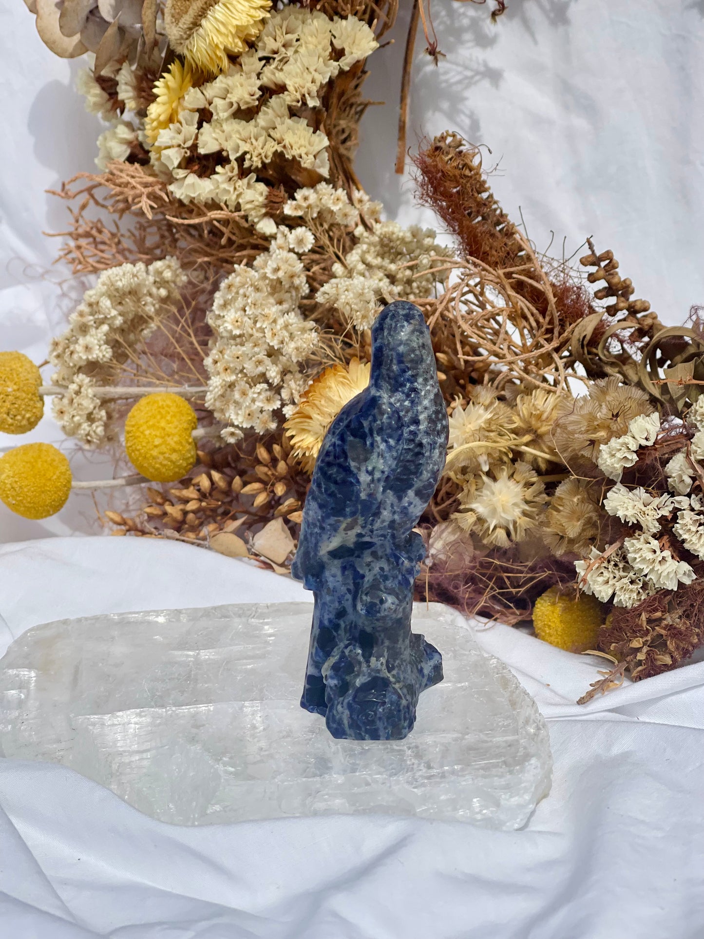 Sodalite Parrot