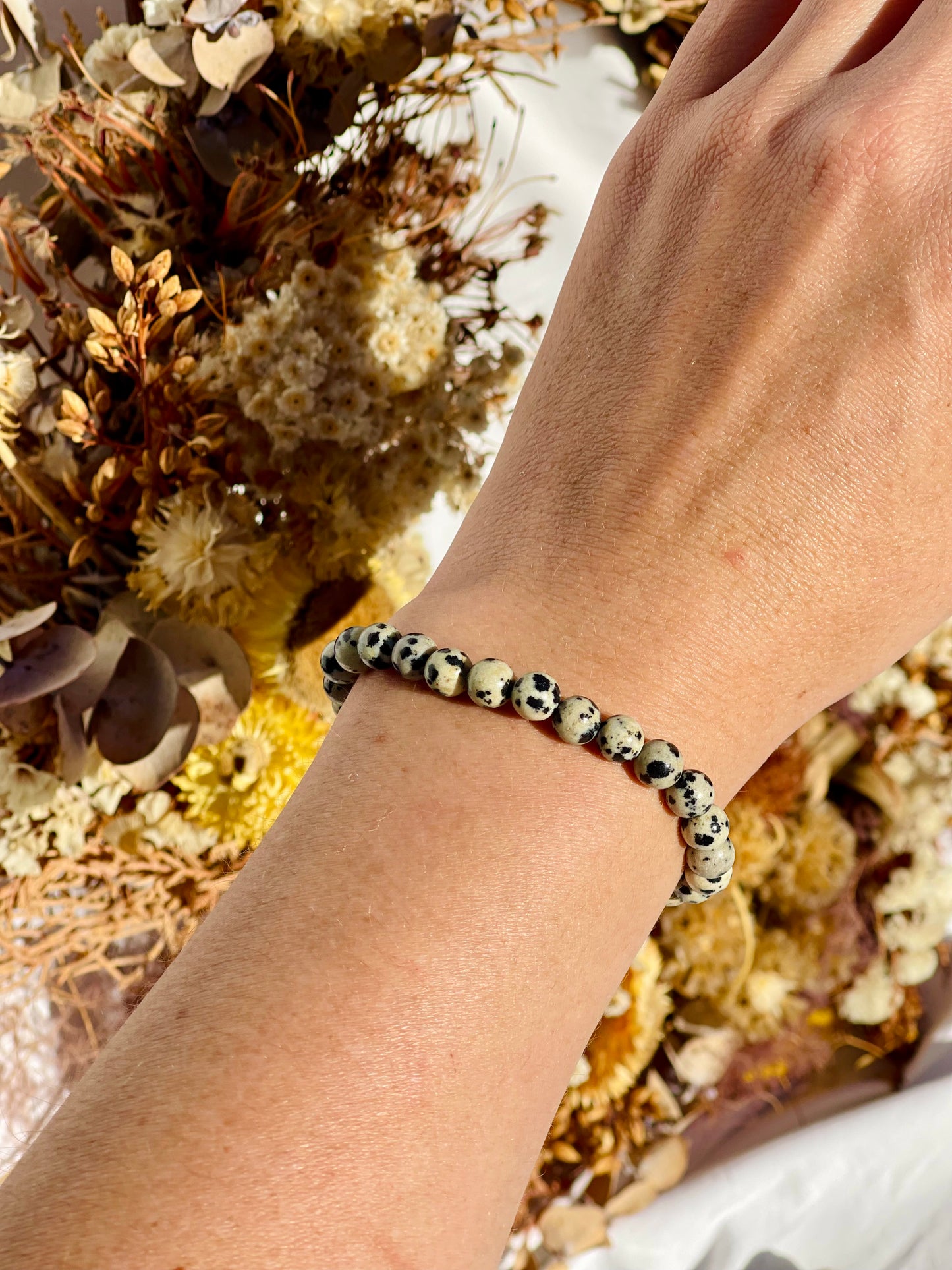 Dalmatian Jasper Bracelet | 6mm