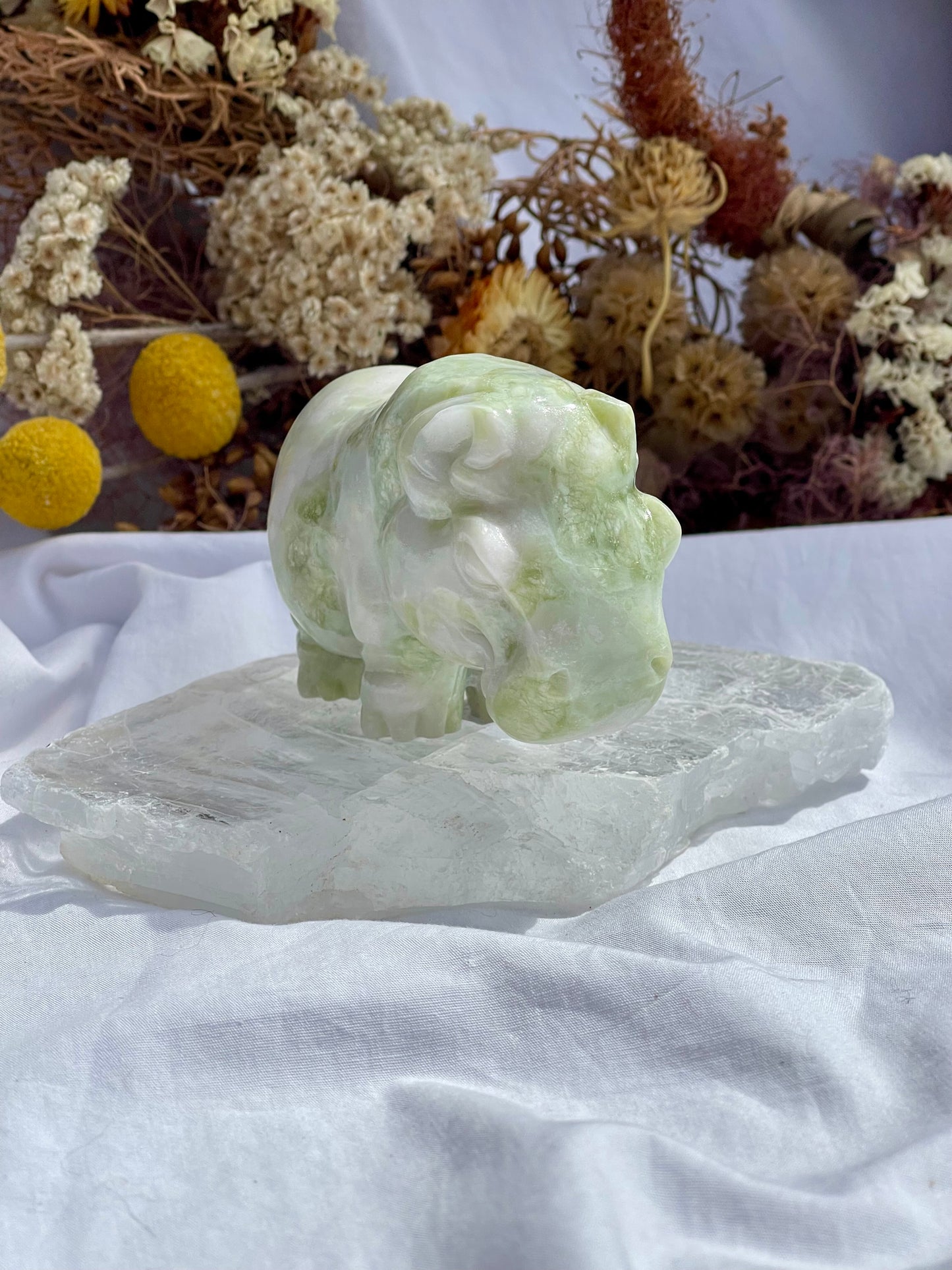 Lemon Jade Hippo
