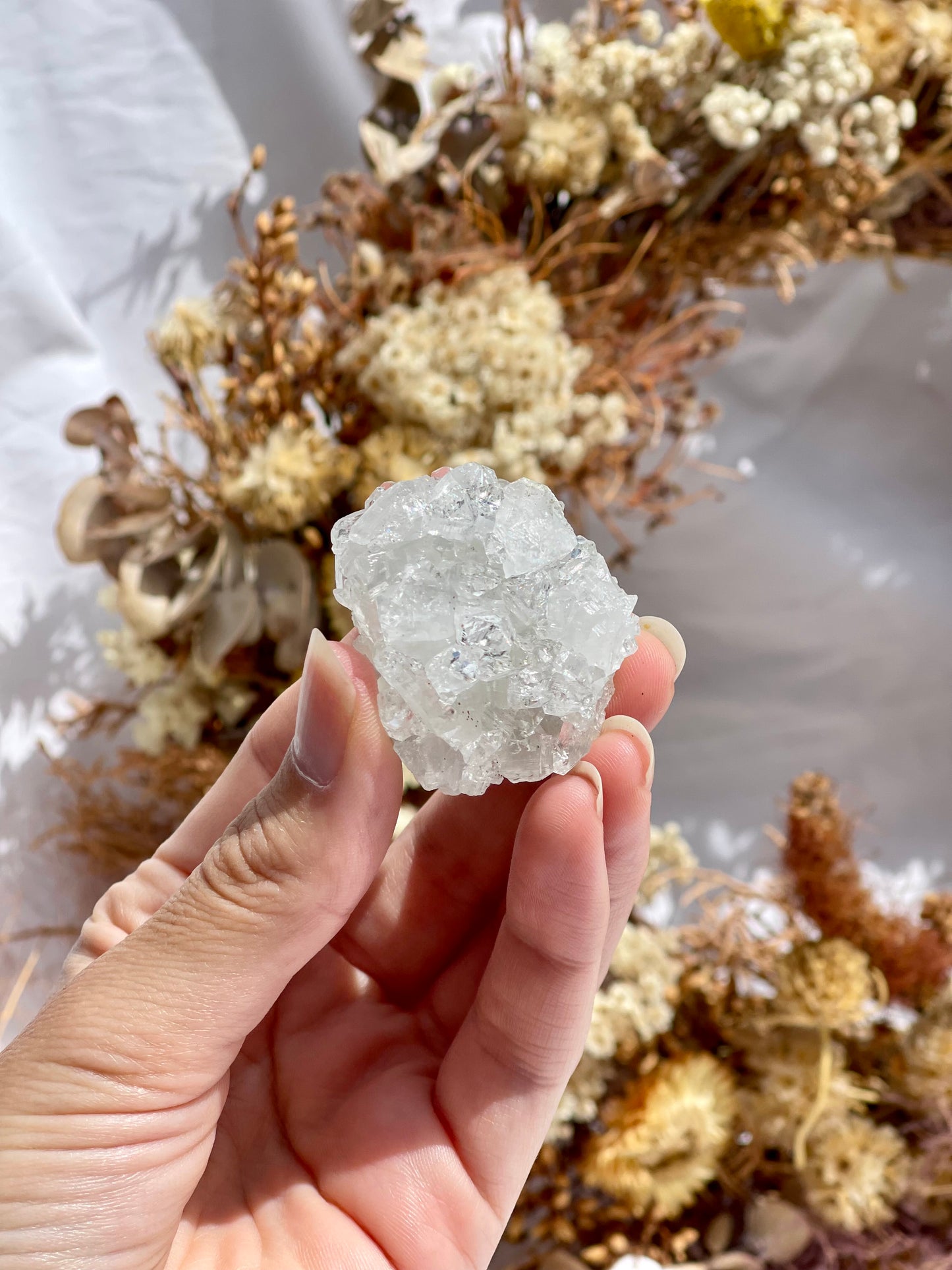 Apophyllite Specimen #4