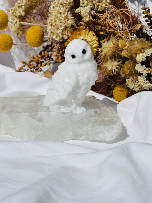 White Jade Owl
