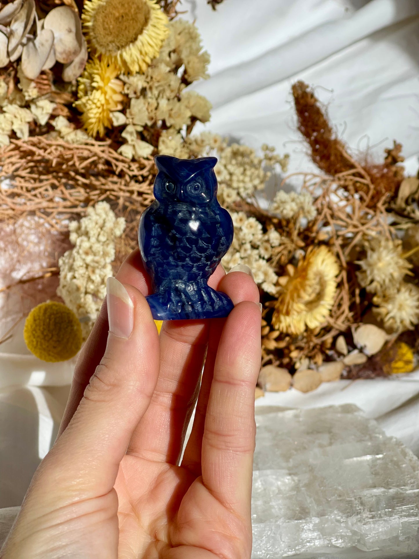 Sodalite Owl