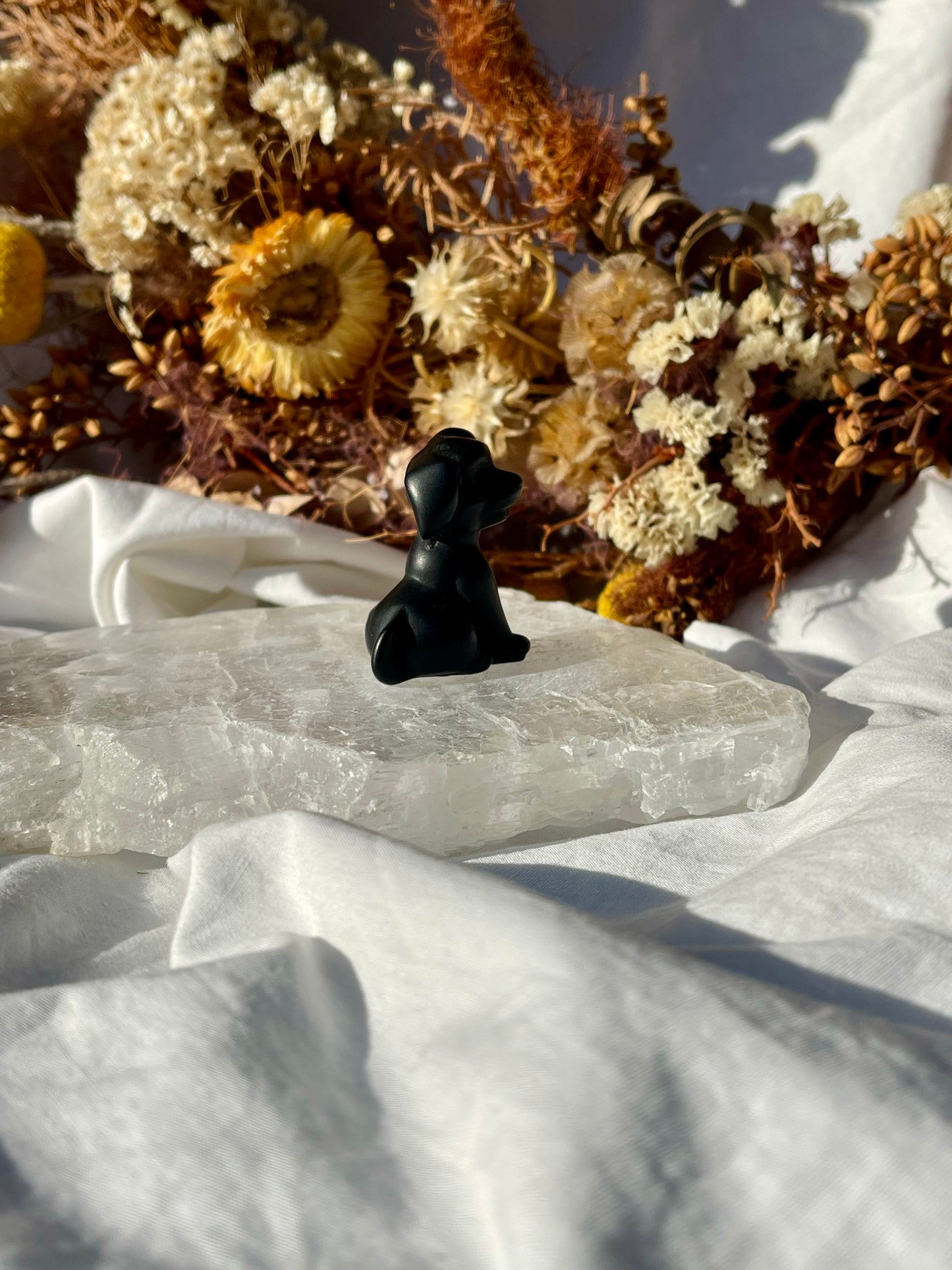 Black Obsidian Dog