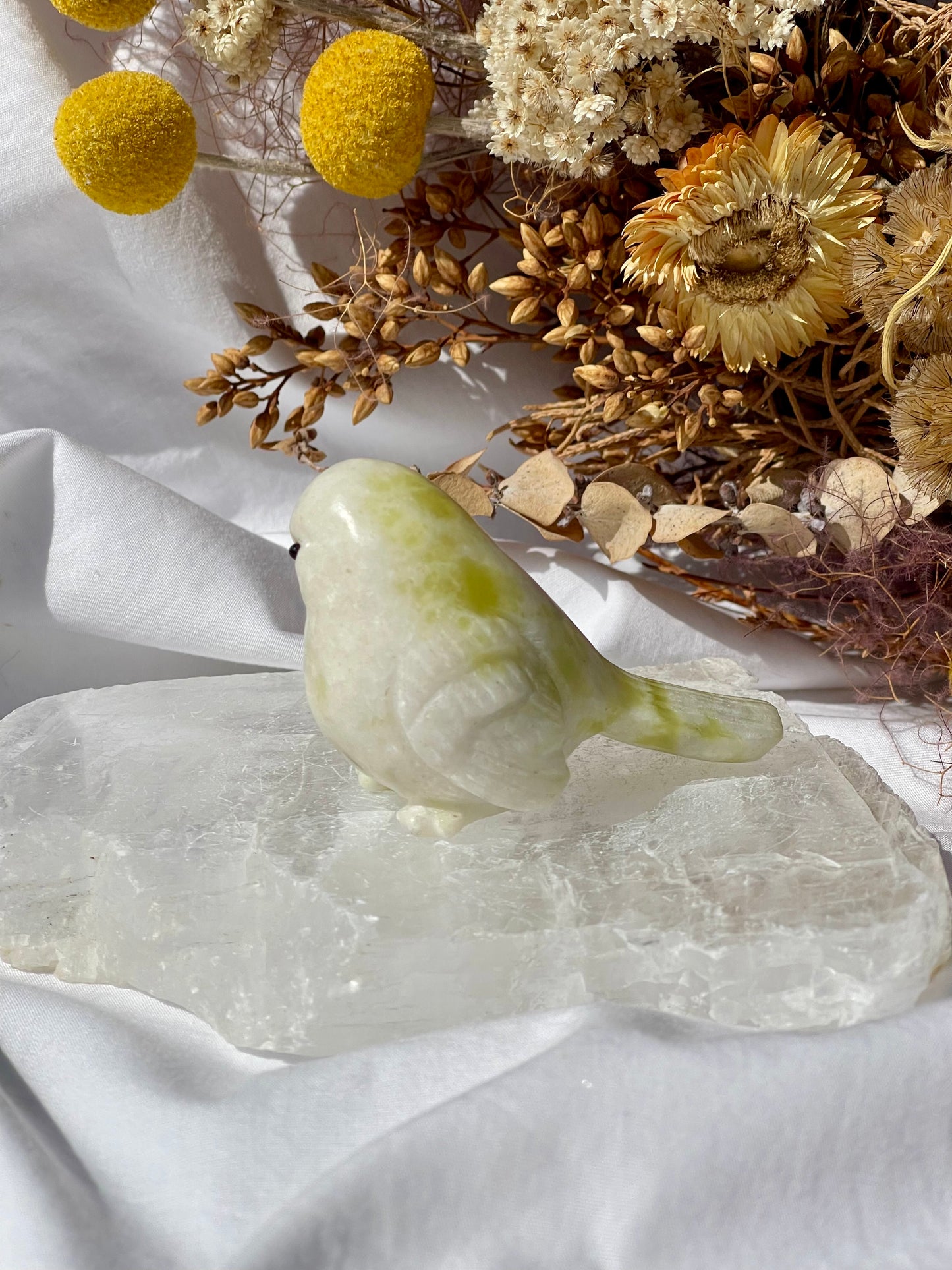 Lemon Jade Bird A