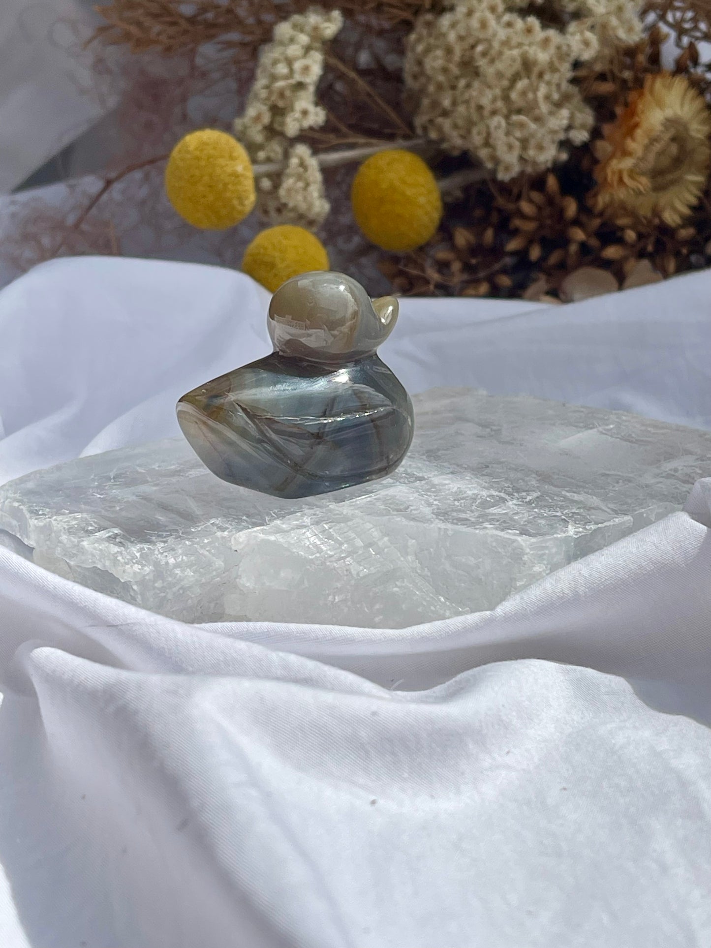 Agate duck #2