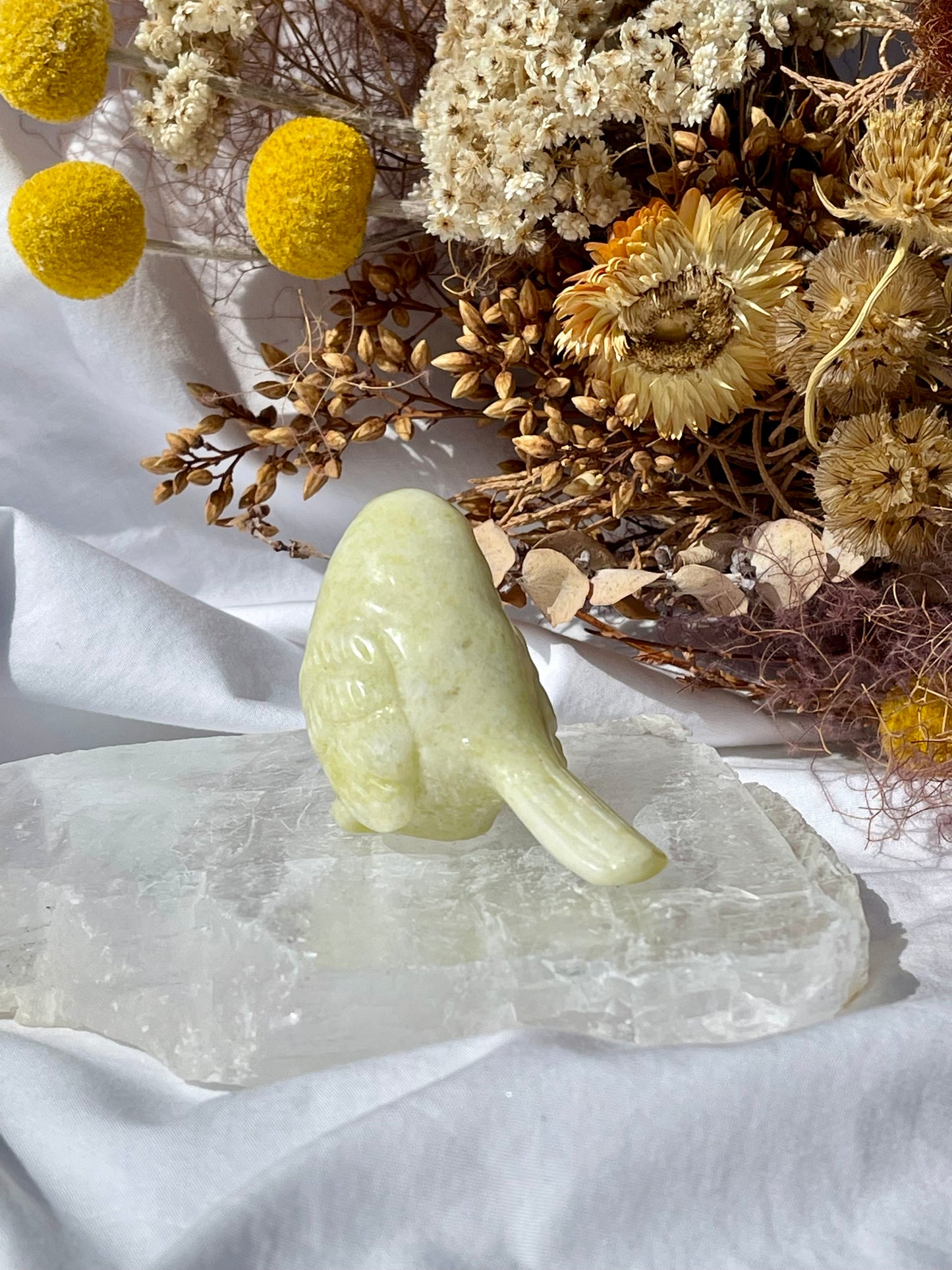 Lemon Jade Bird B
