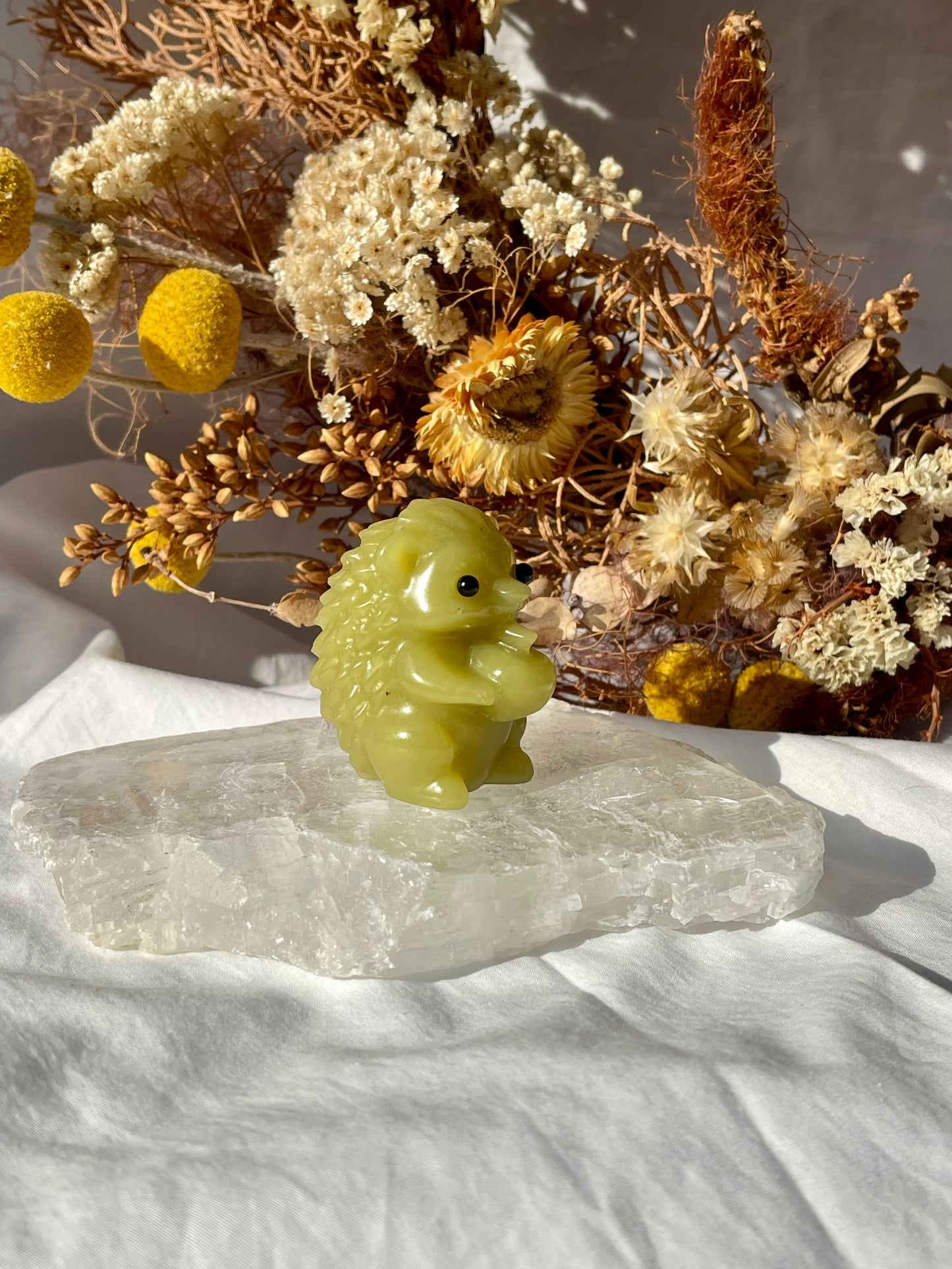 Lemon Jade Hedgehog