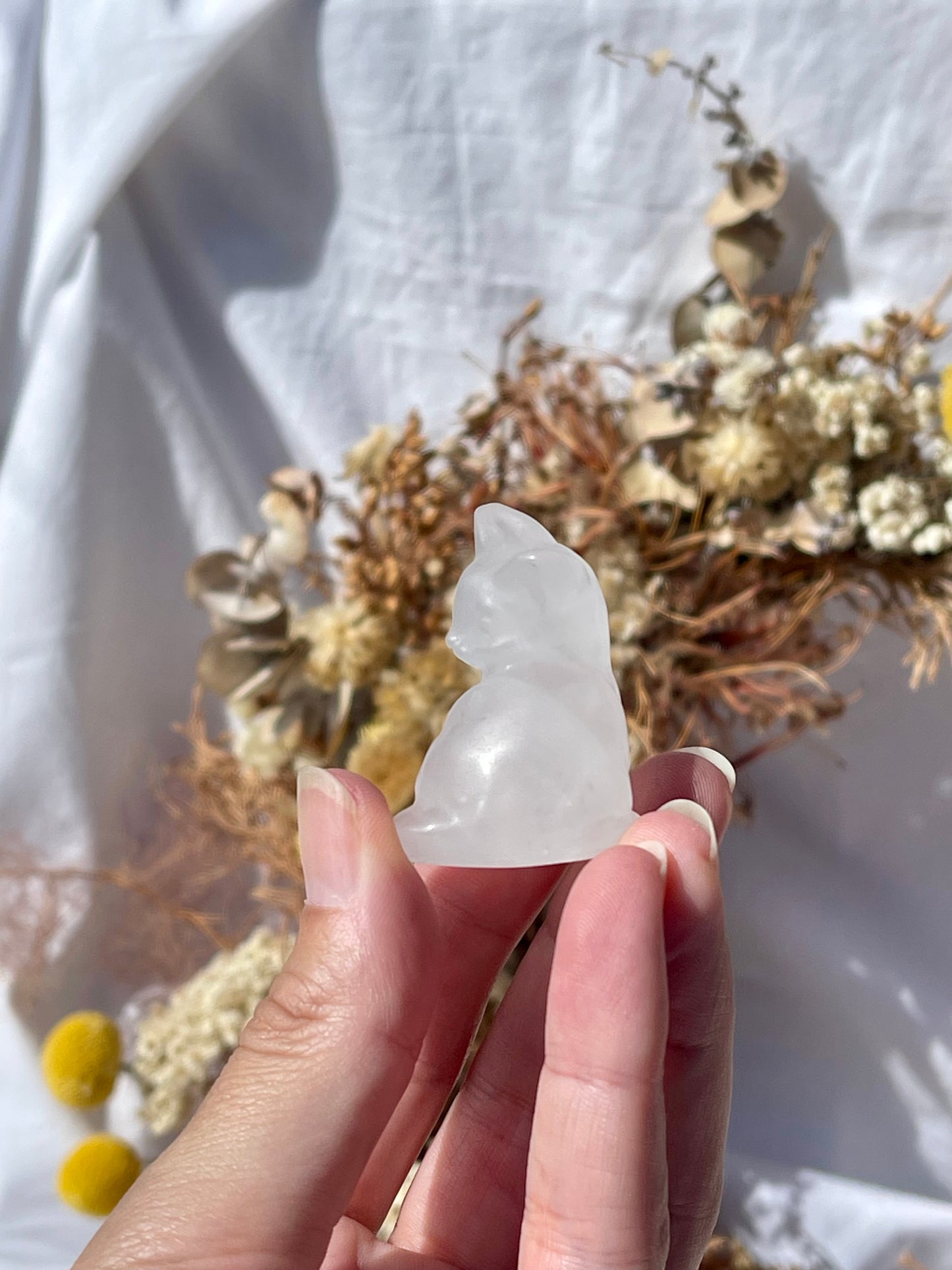 Clear Quartz cat