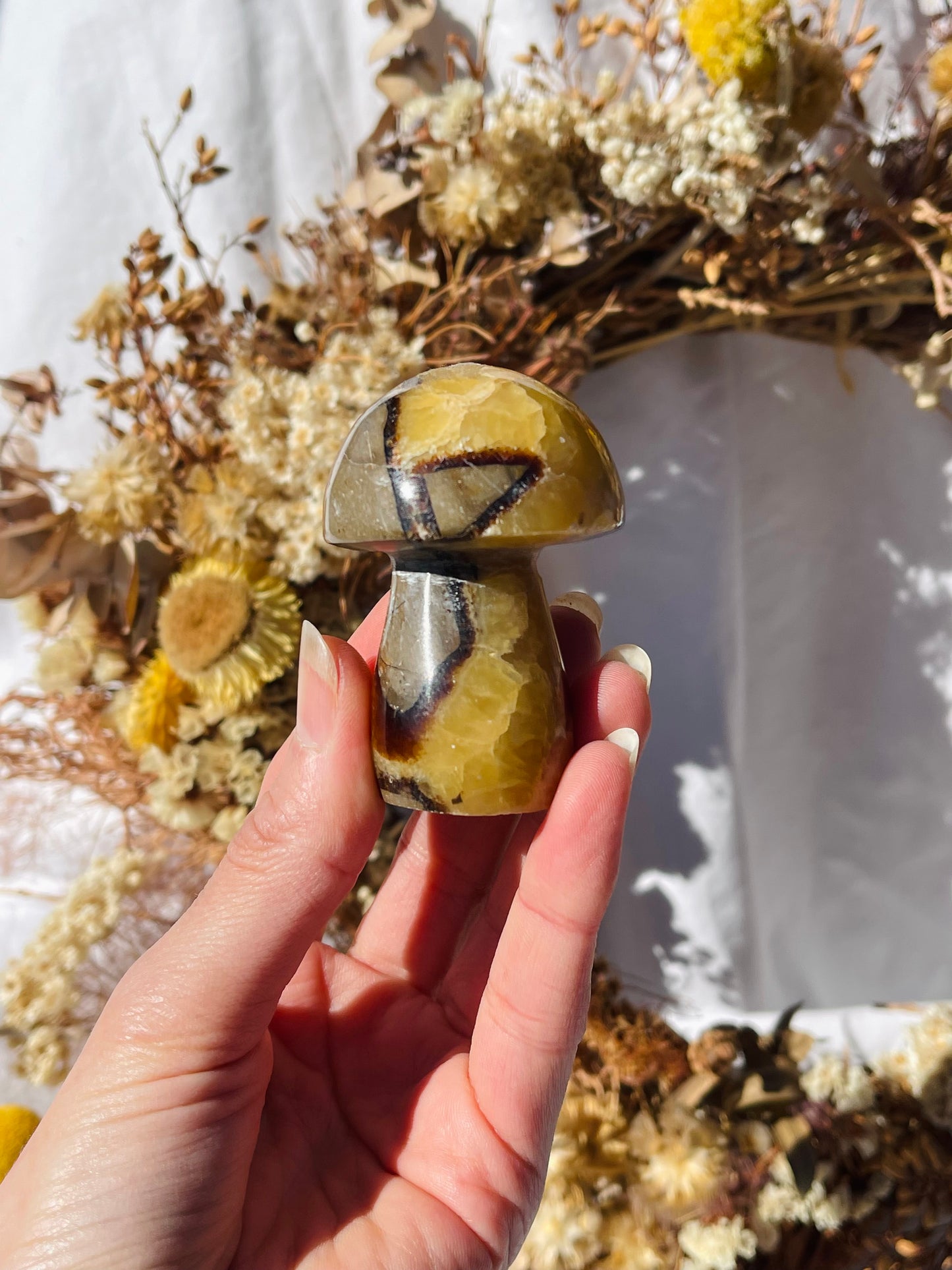 Septarian Dragonstone Mushroom