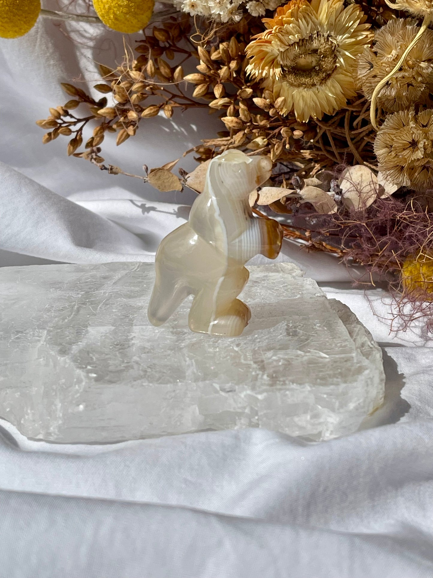 Agate T-Rex #1