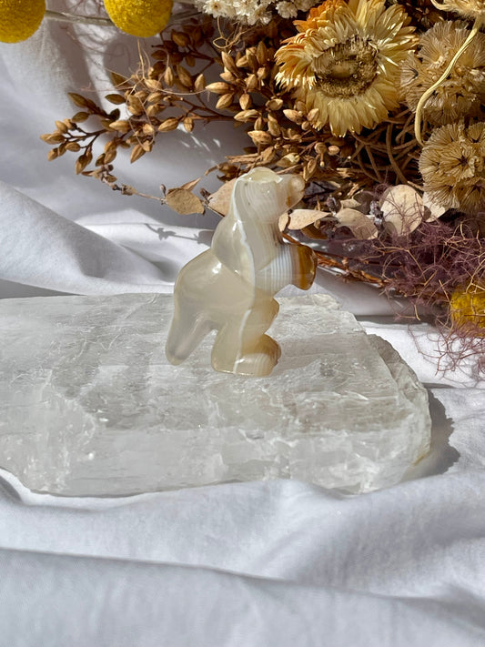 Agate T-Rex #1