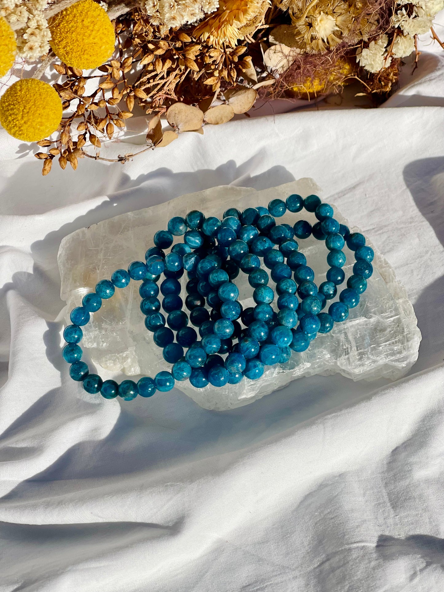 Apatite Bracelet | 8mm