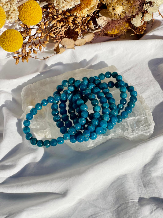 Apatite Bracelet | 8mm