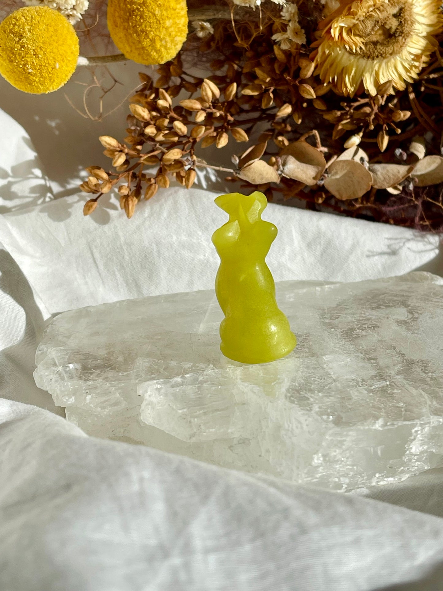 Lemon Jade Cat With Butterfly