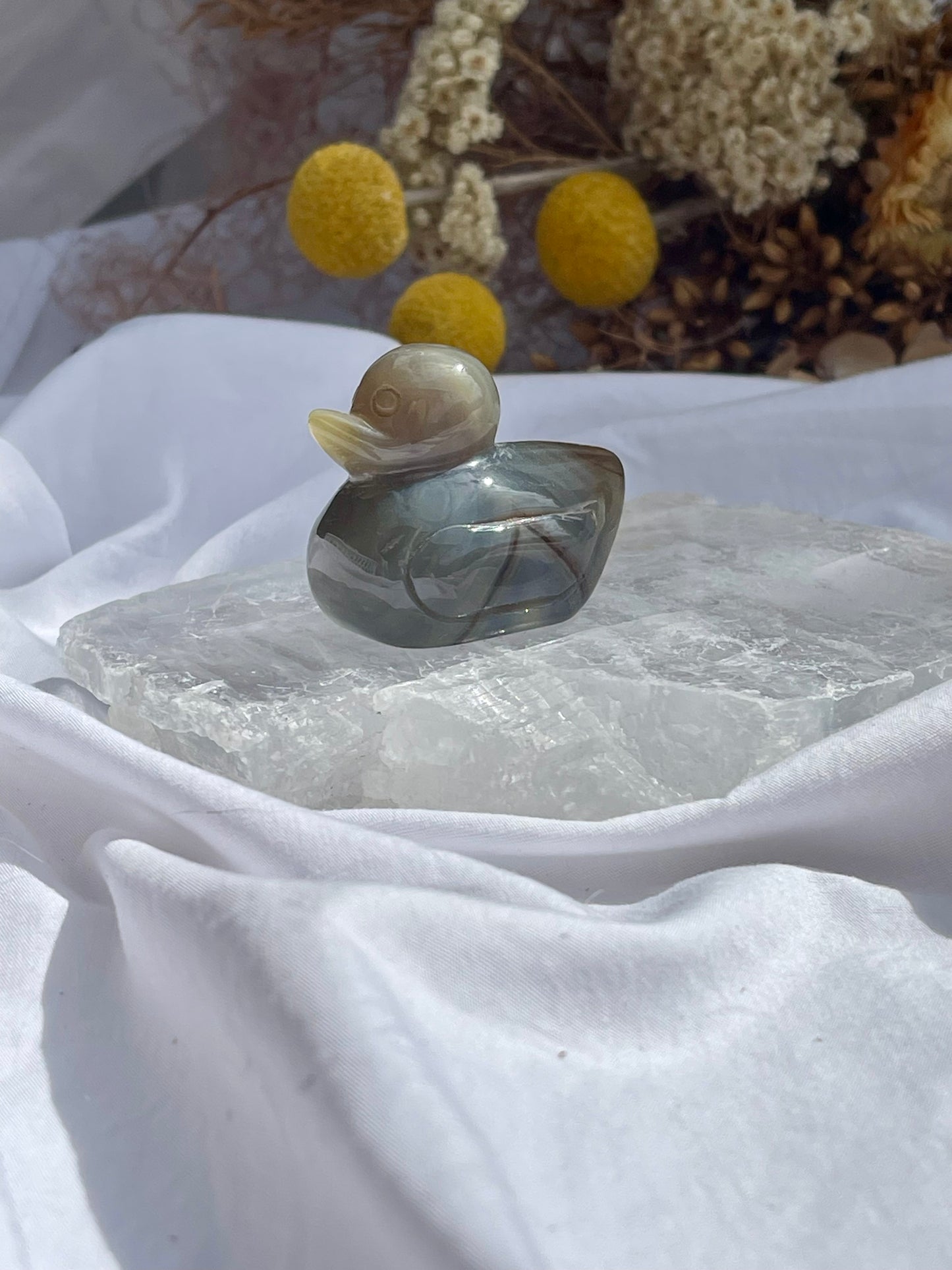 Agate duck #2