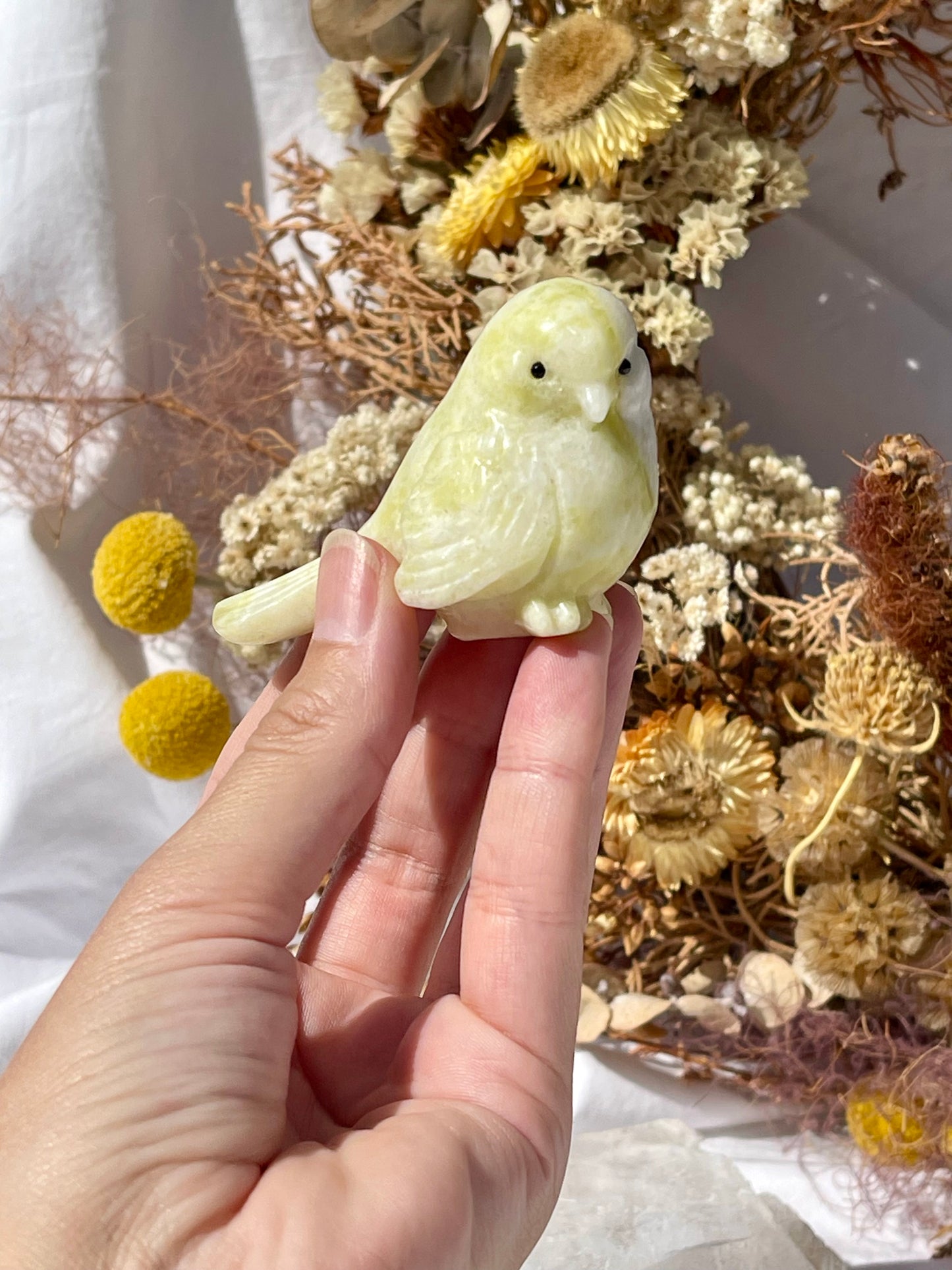 Lemon Jade Bird B