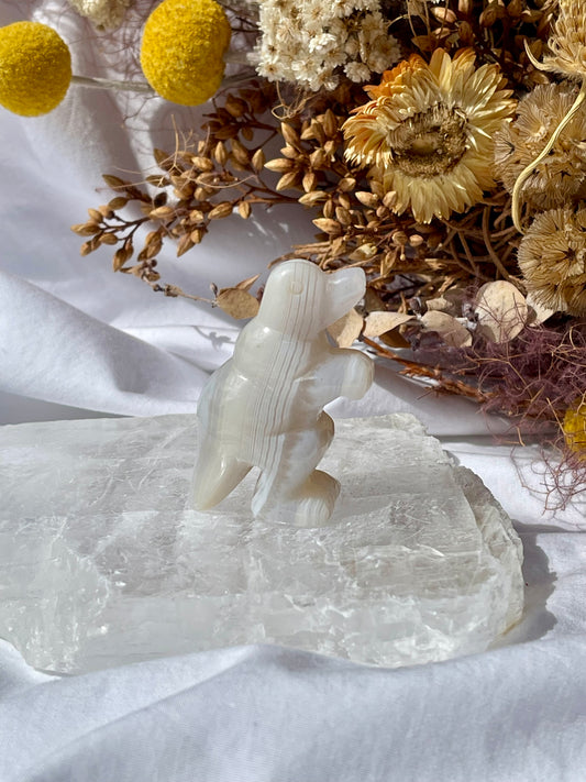 Agate T-Rex #3