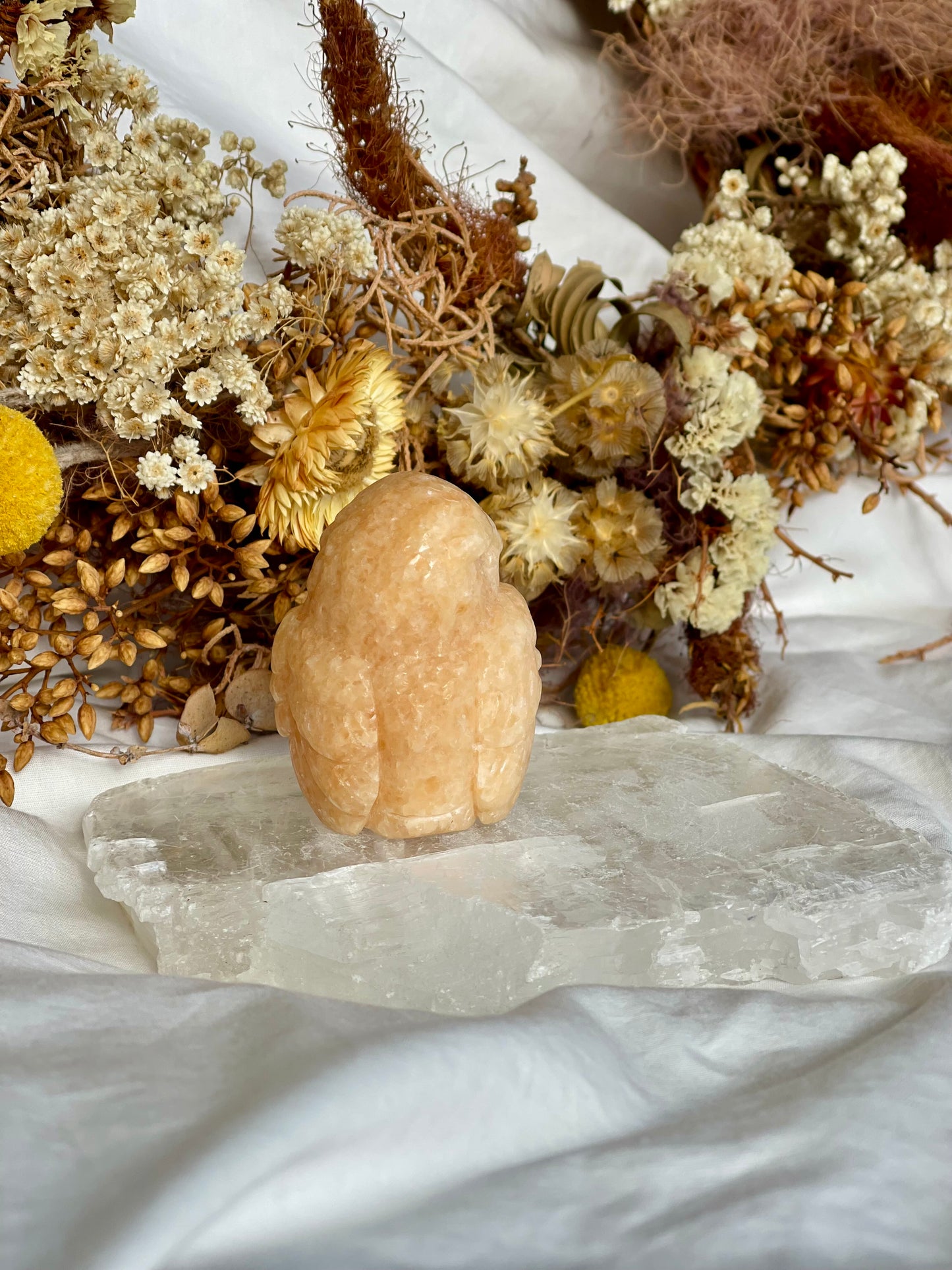 Sunstone Owl