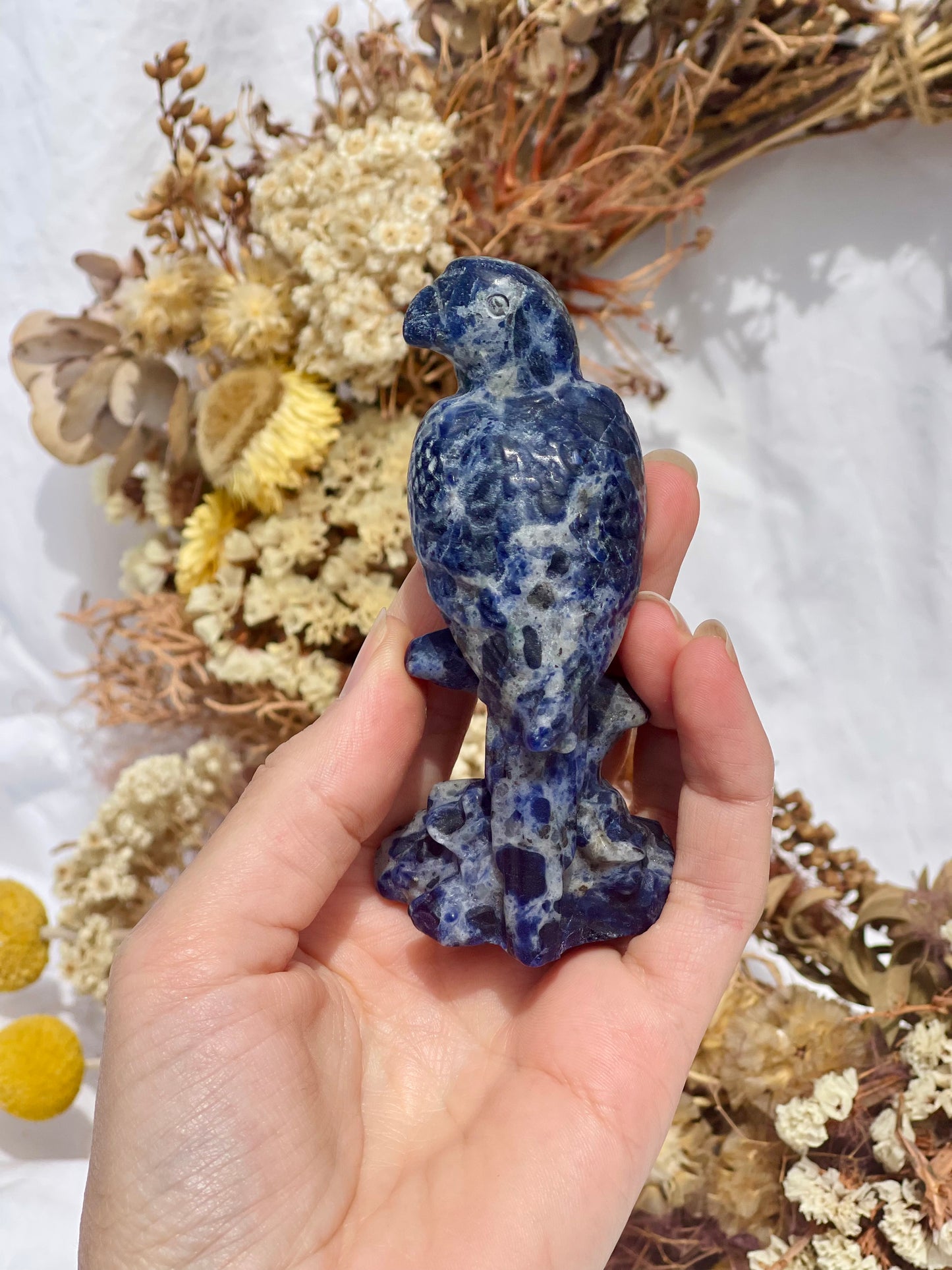 Sodalite Parrot