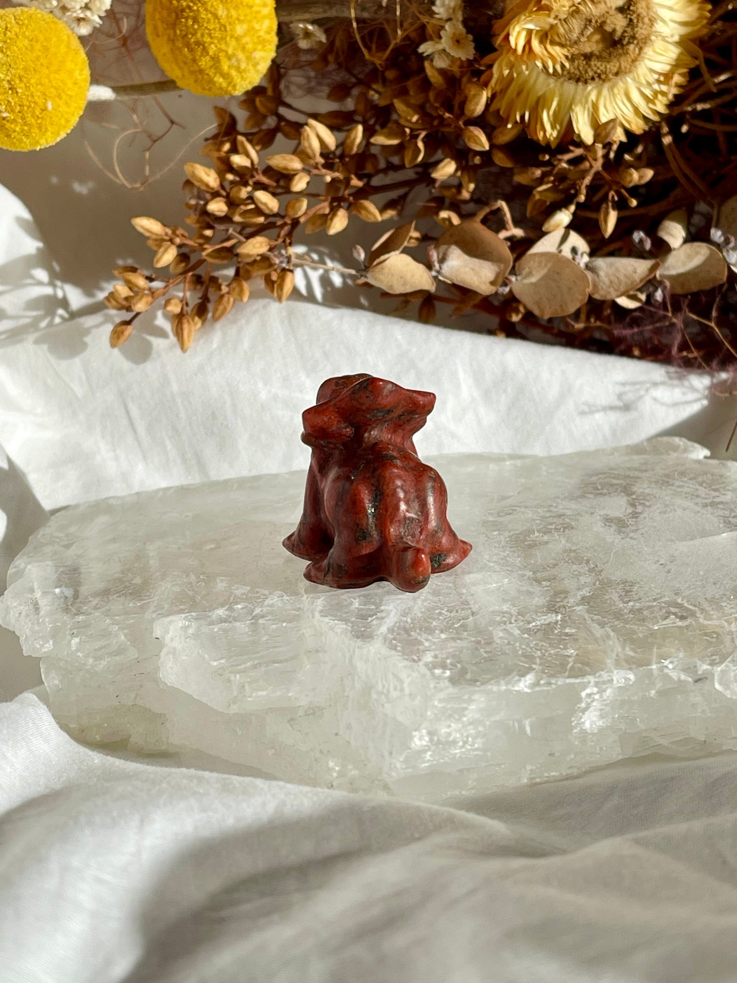 Red Jade Baby Triceratops