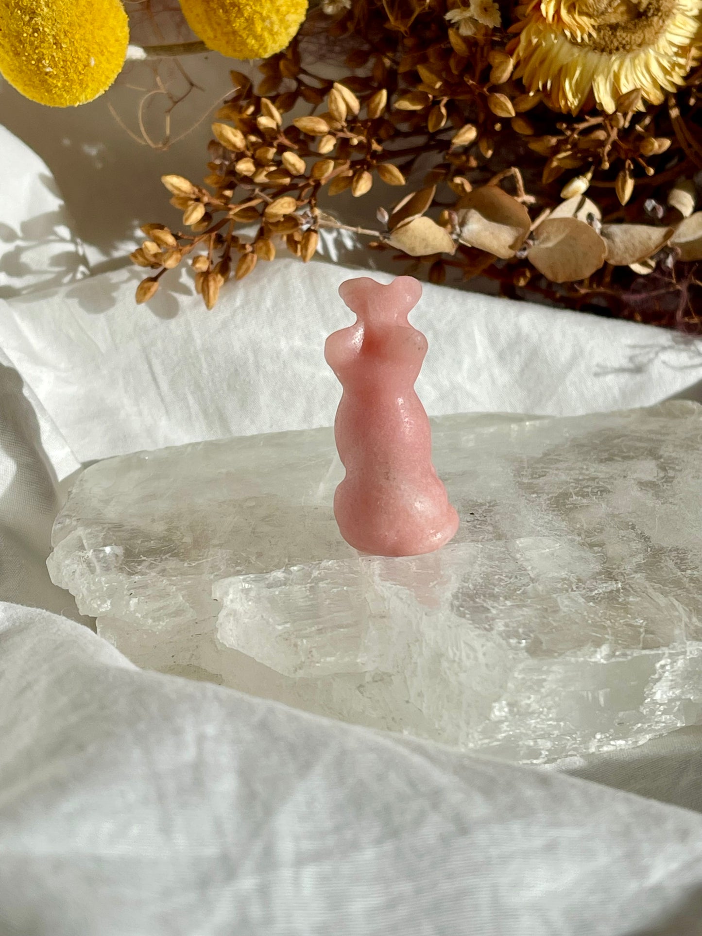Pink Opal Cat With Butterfly