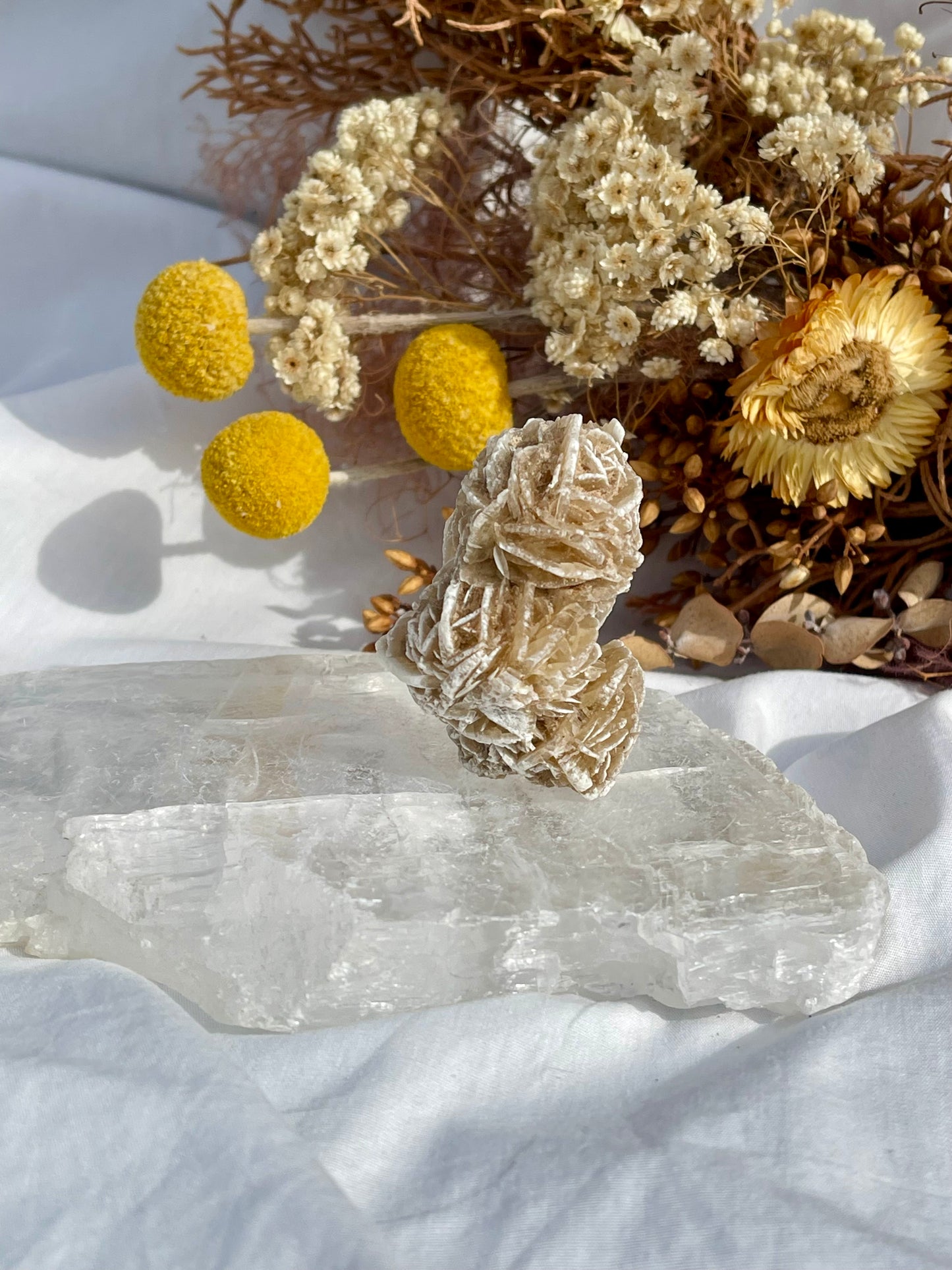 Desert Rose Critter #5