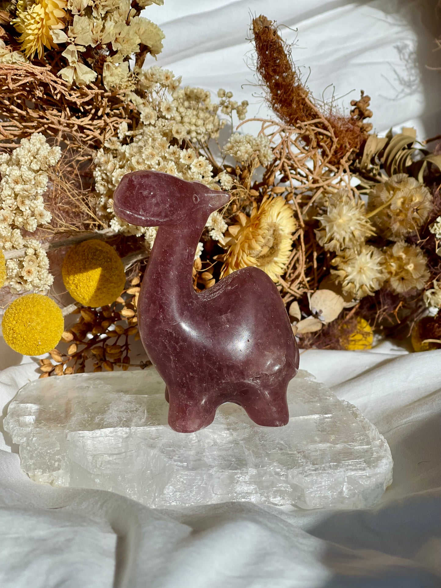 Strawberry Quartz Camel