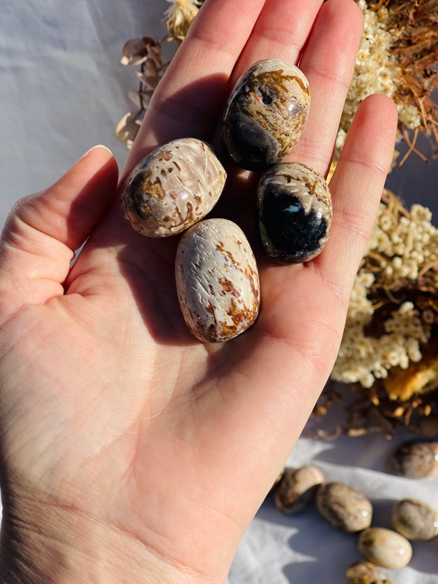 Petrified Palm Root Tumble