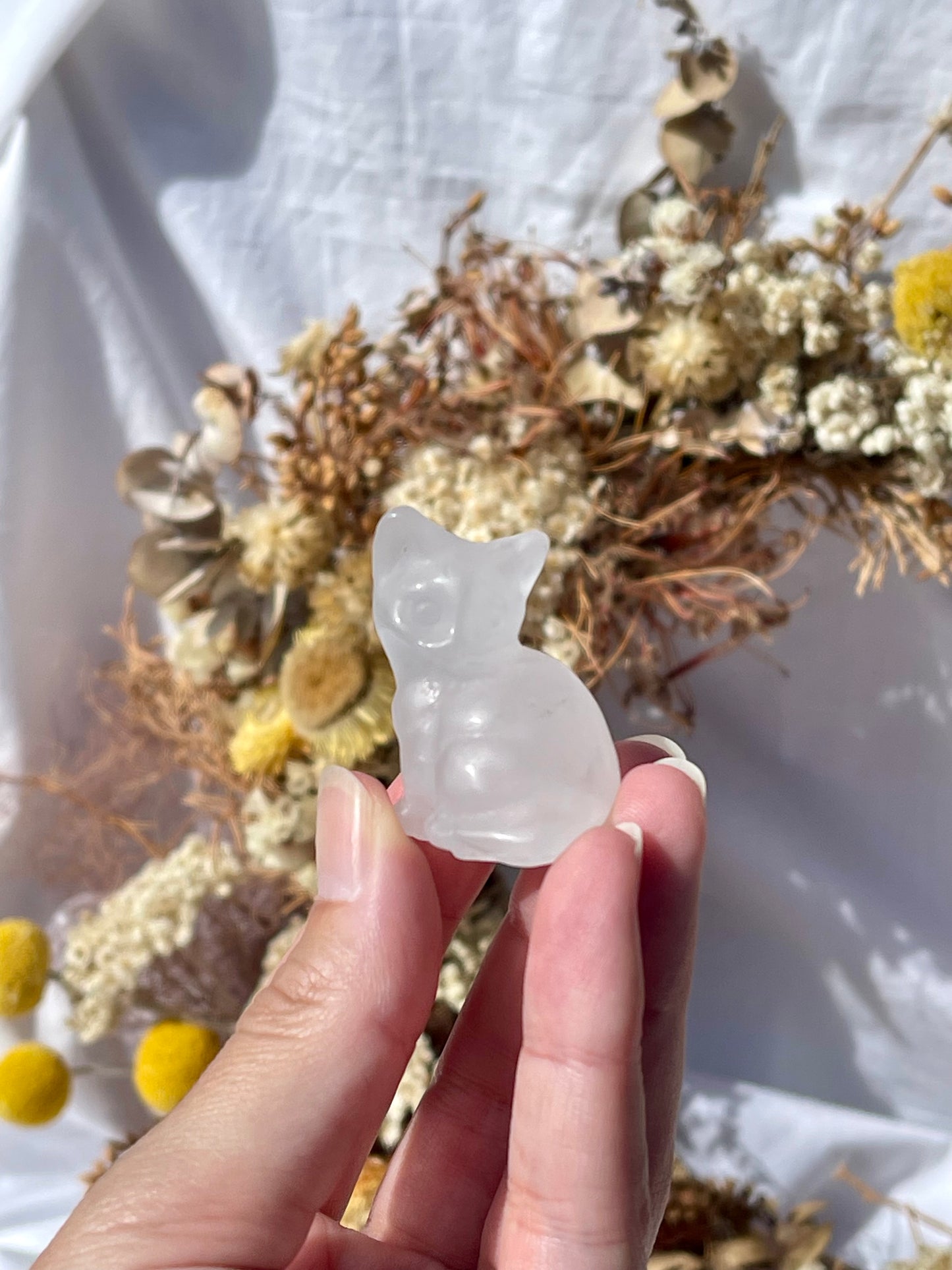 Clear Quartz cat