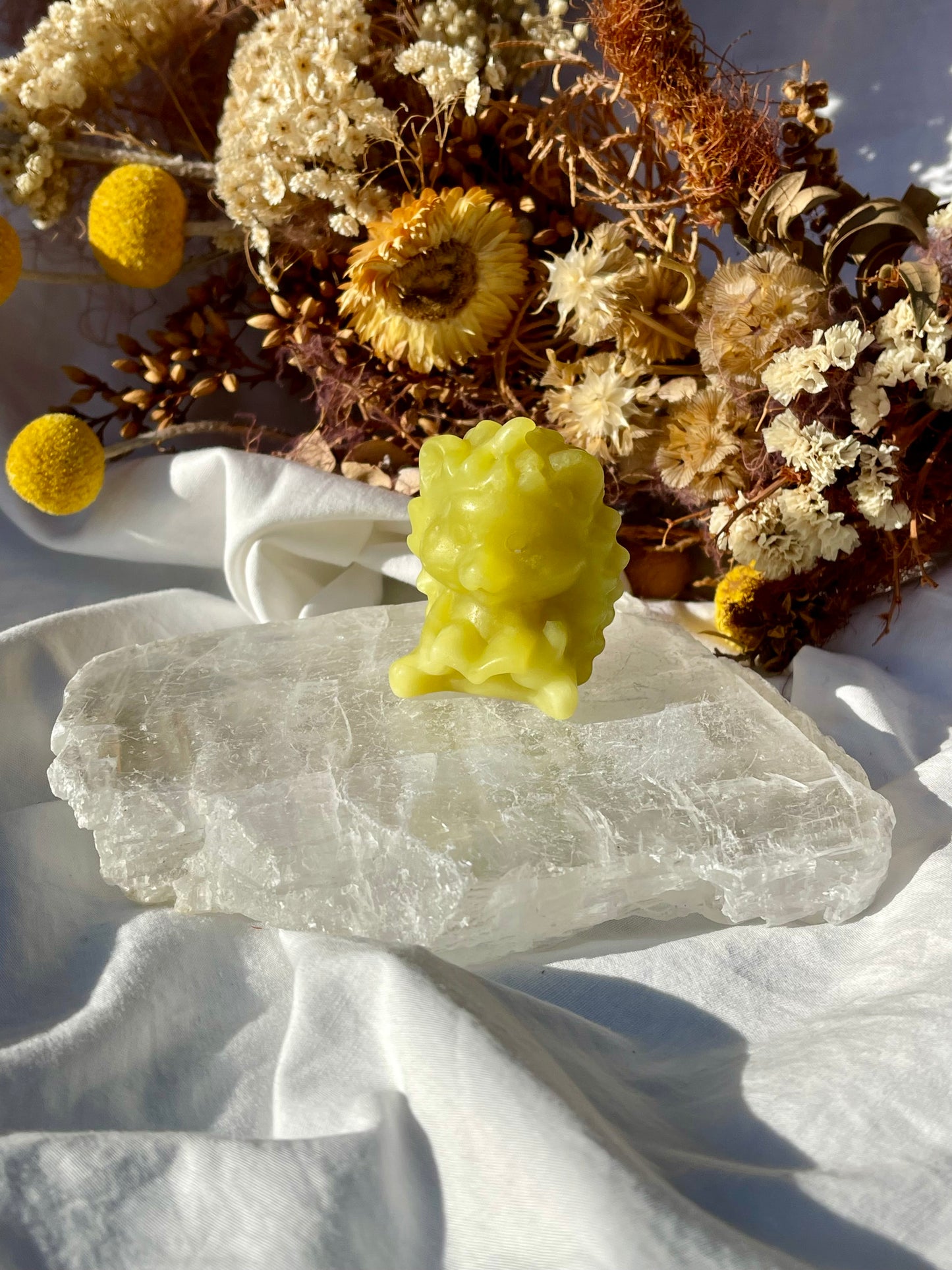 Lemon Jade Hedgehog