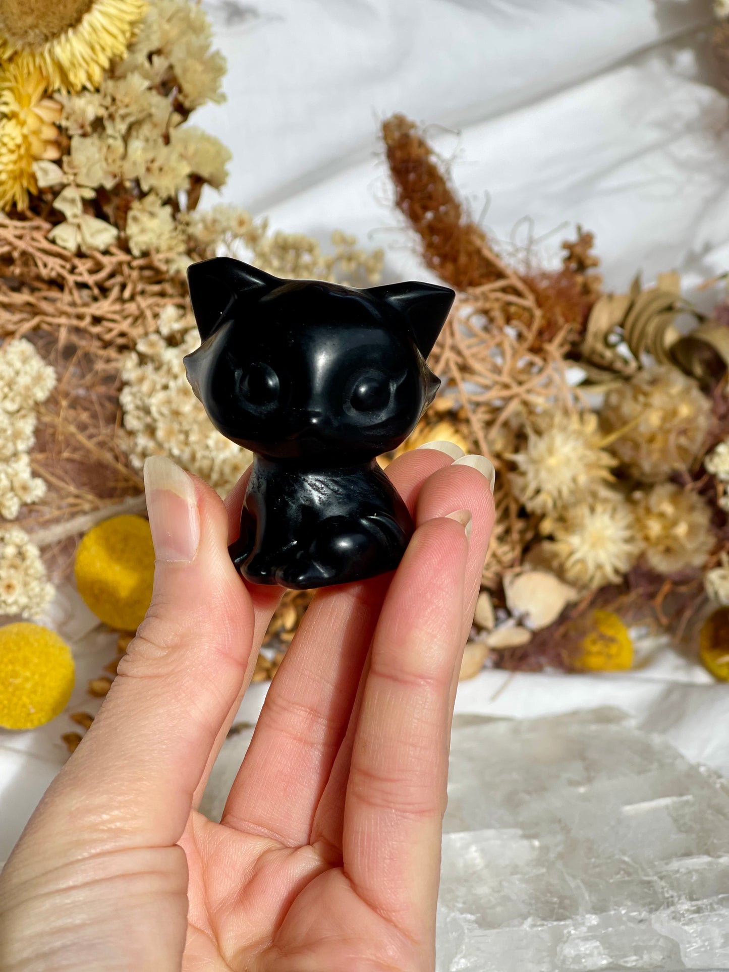 Black Obsidian Cat