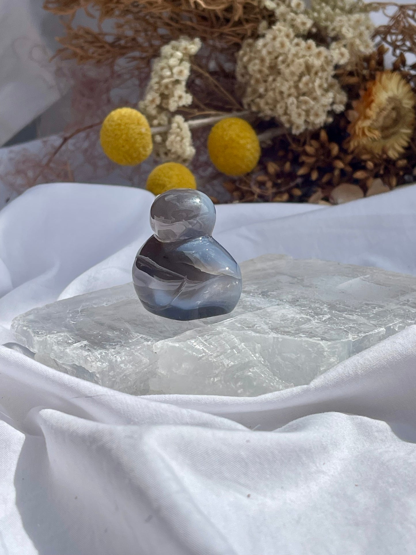 Agate Duck #1
