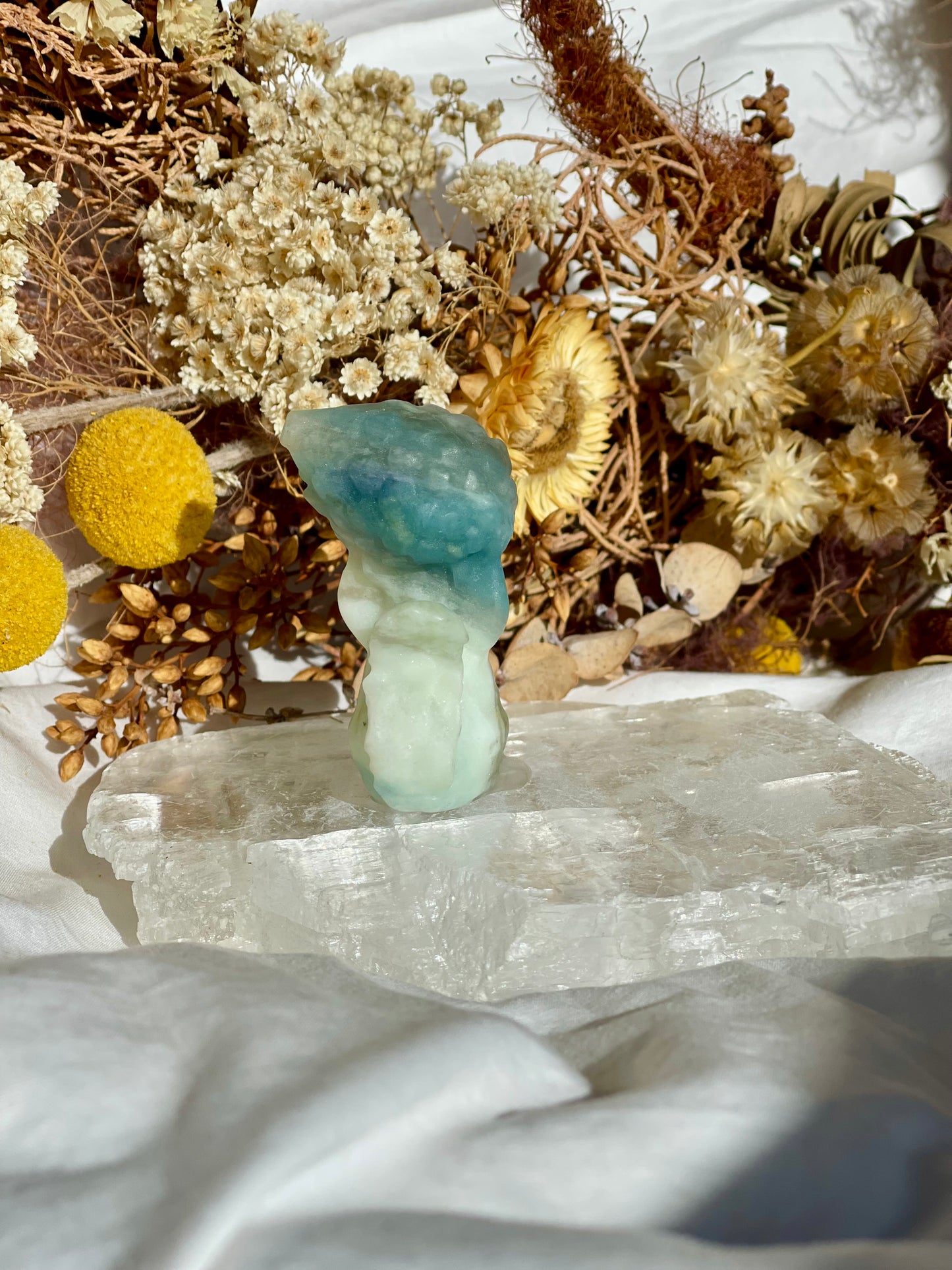 Brazilian Amazonite Squirrel #1